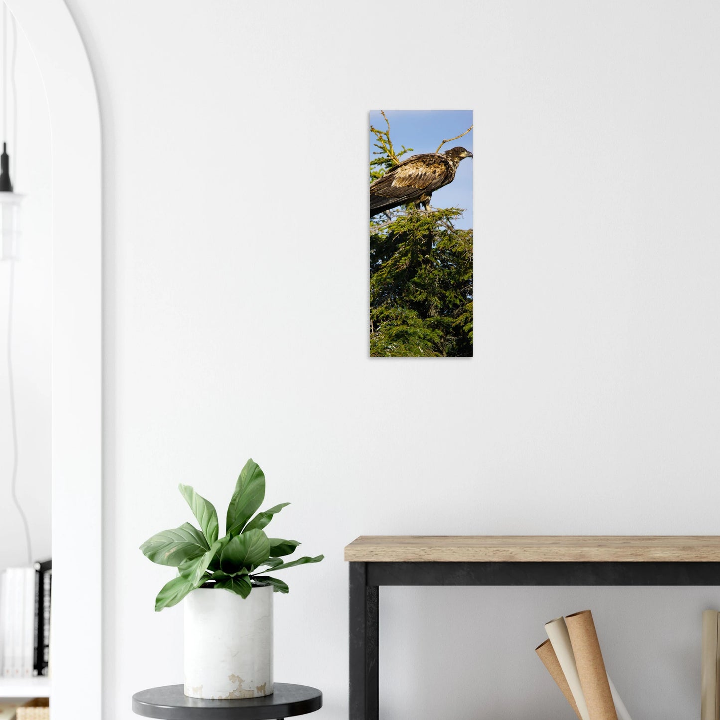 843d3e20-5991-40a4-b3b8-36d12ce2e194