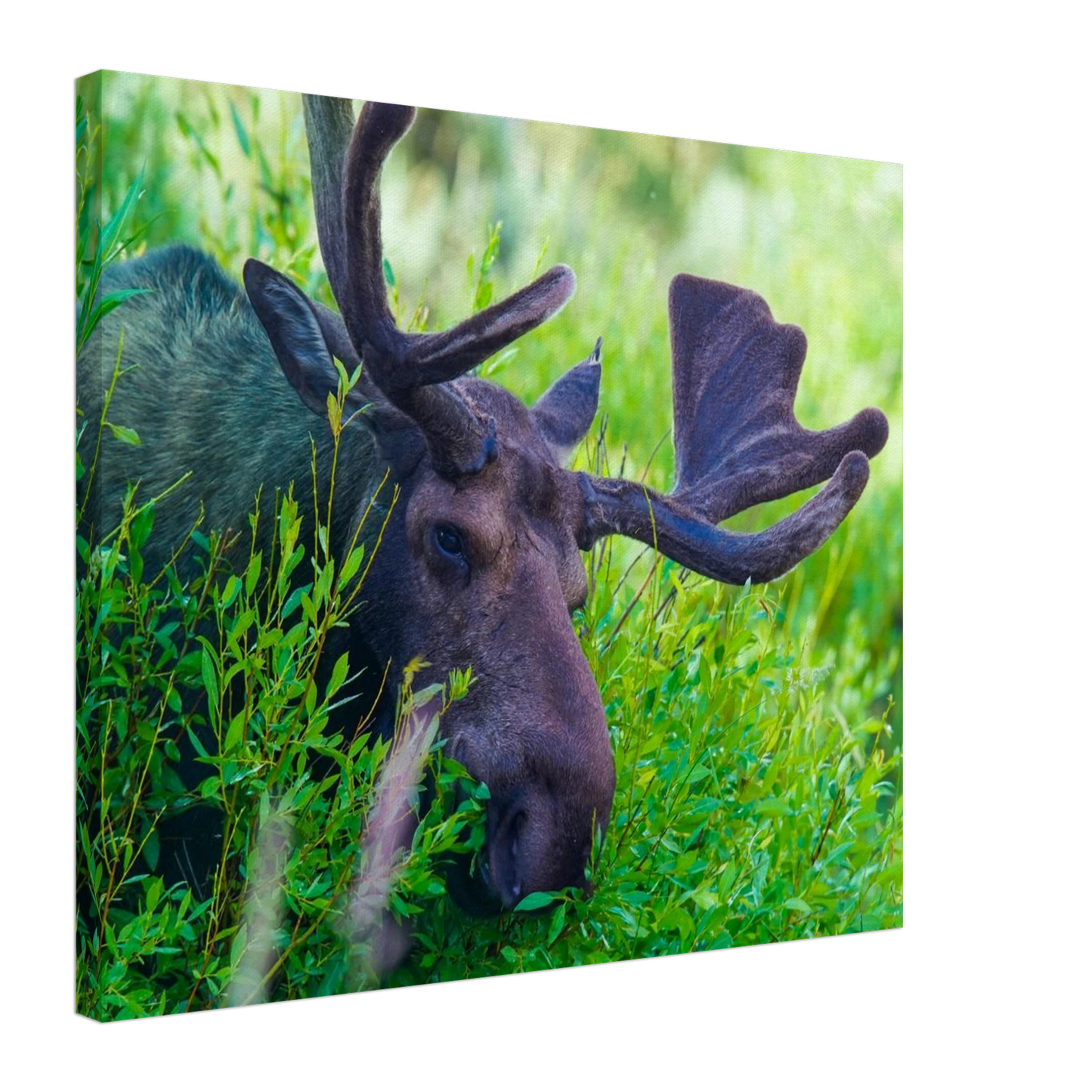 8647a702-51ee-4dbc-8f61-ae359dc19728