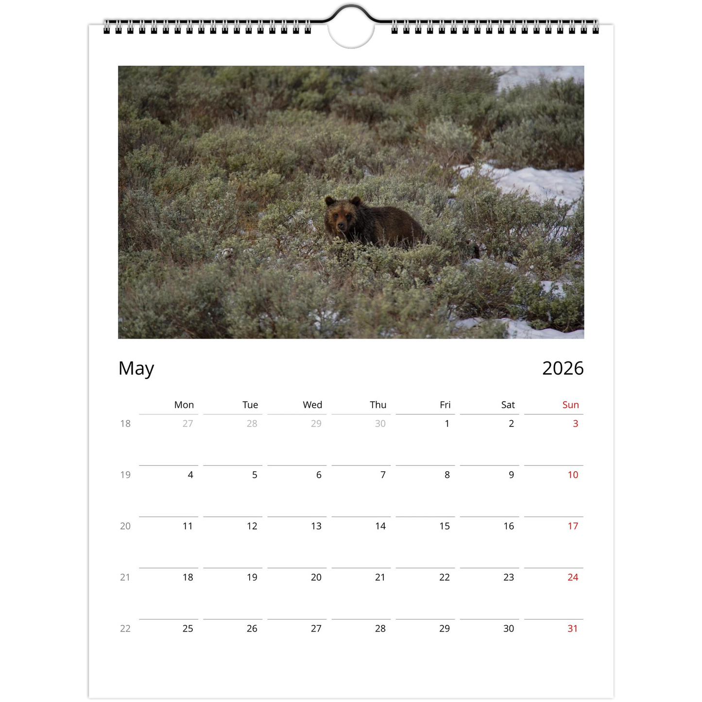 873f245b-34ff-4482-9d29-6c6728d9071c