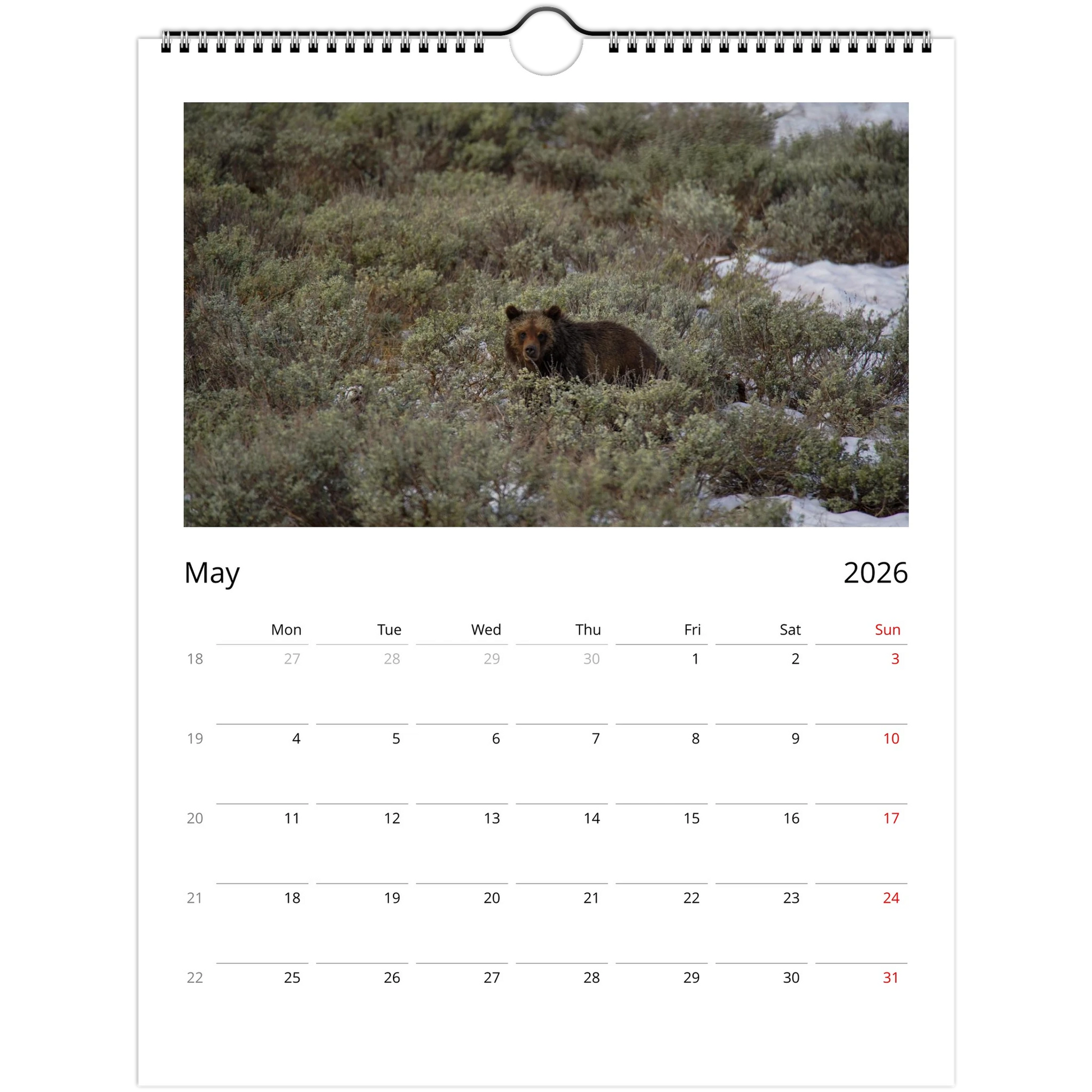 873f245b-34ff-4482-9d29-6c6728d9071c