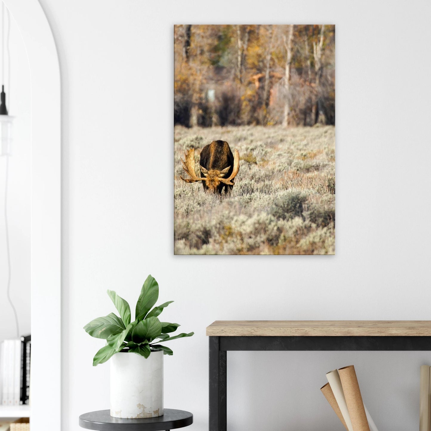 8b082de6-4243-4680-b71f-0c9067be5ad1