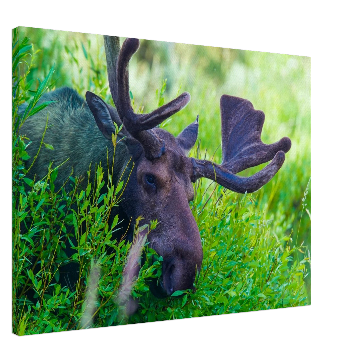 8b83c9ec-340a-4ac6-8775-e9279fa7f3c1