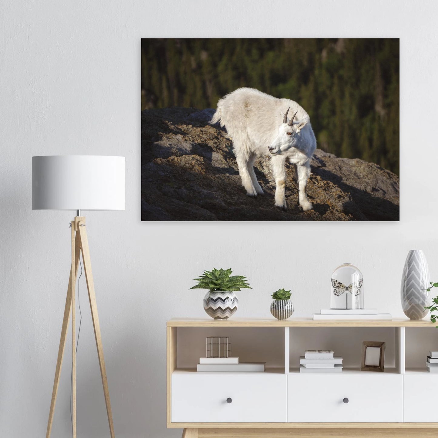 8babf889-65d7-4436-a185-cc497a531233