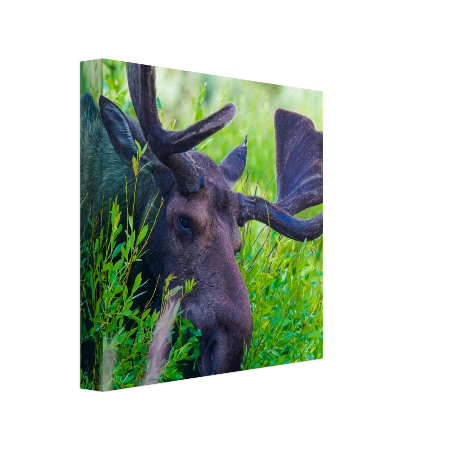 8be8e93a-4149-4e6e-bb8f-6e577a4183ab