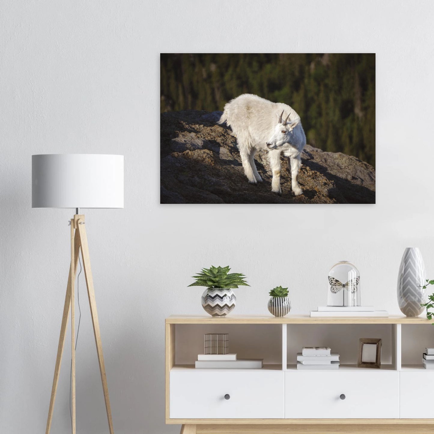 8c41b2ee-633e-4b7c-a8df-0dccb9c60c21