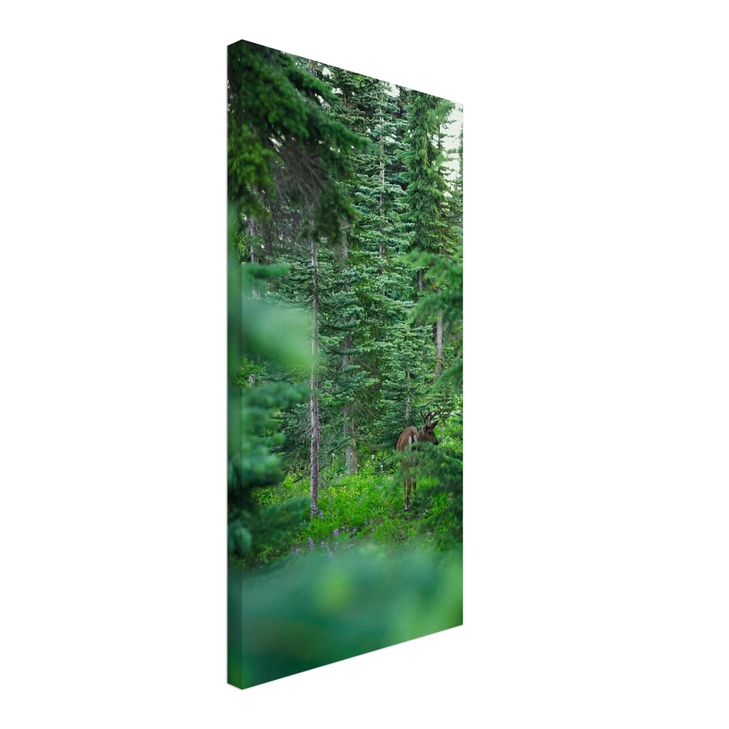 8d0c982b-2b9f-4ac7-bf33-679262f614ae