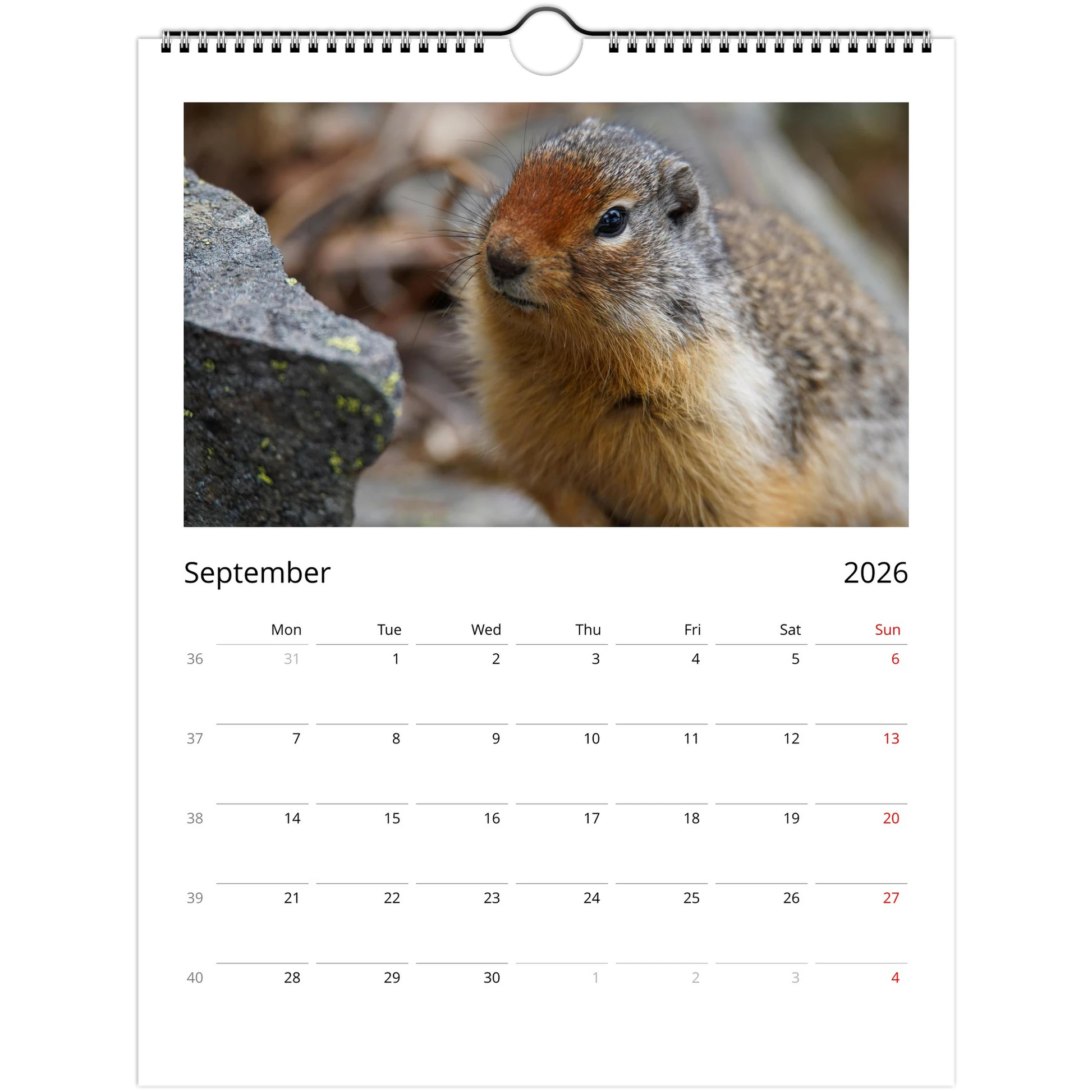 8e243d93-6858-429f-a3ce-dc9061d3eaf4