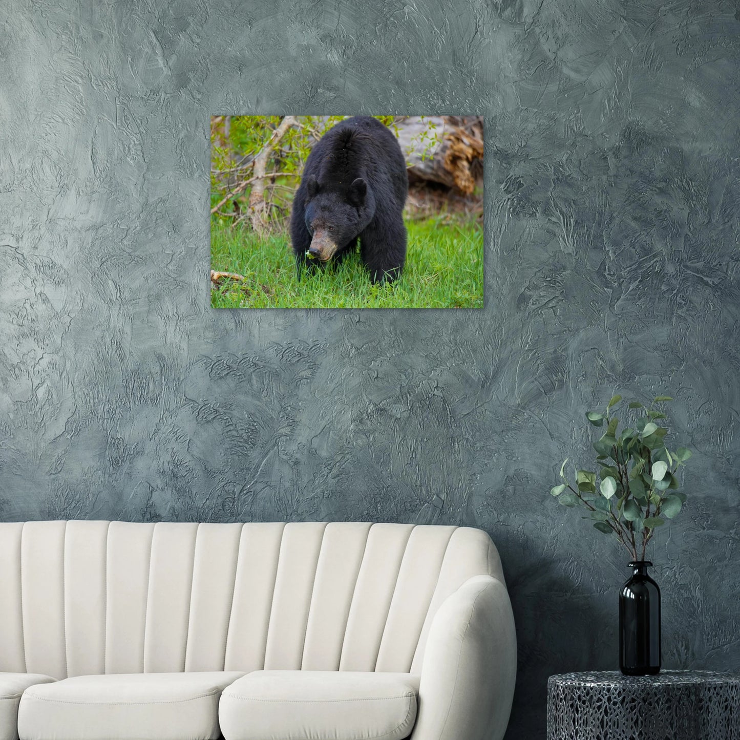 8f37c639-e048-43c1-a790-3529fa390101