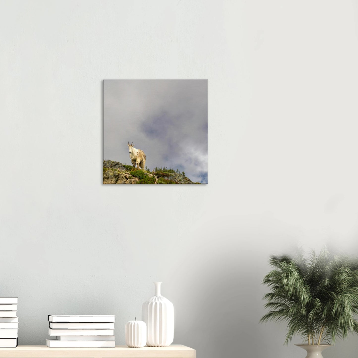 910e9db2-a0b5-408b-a0cb-84feb8b336ff