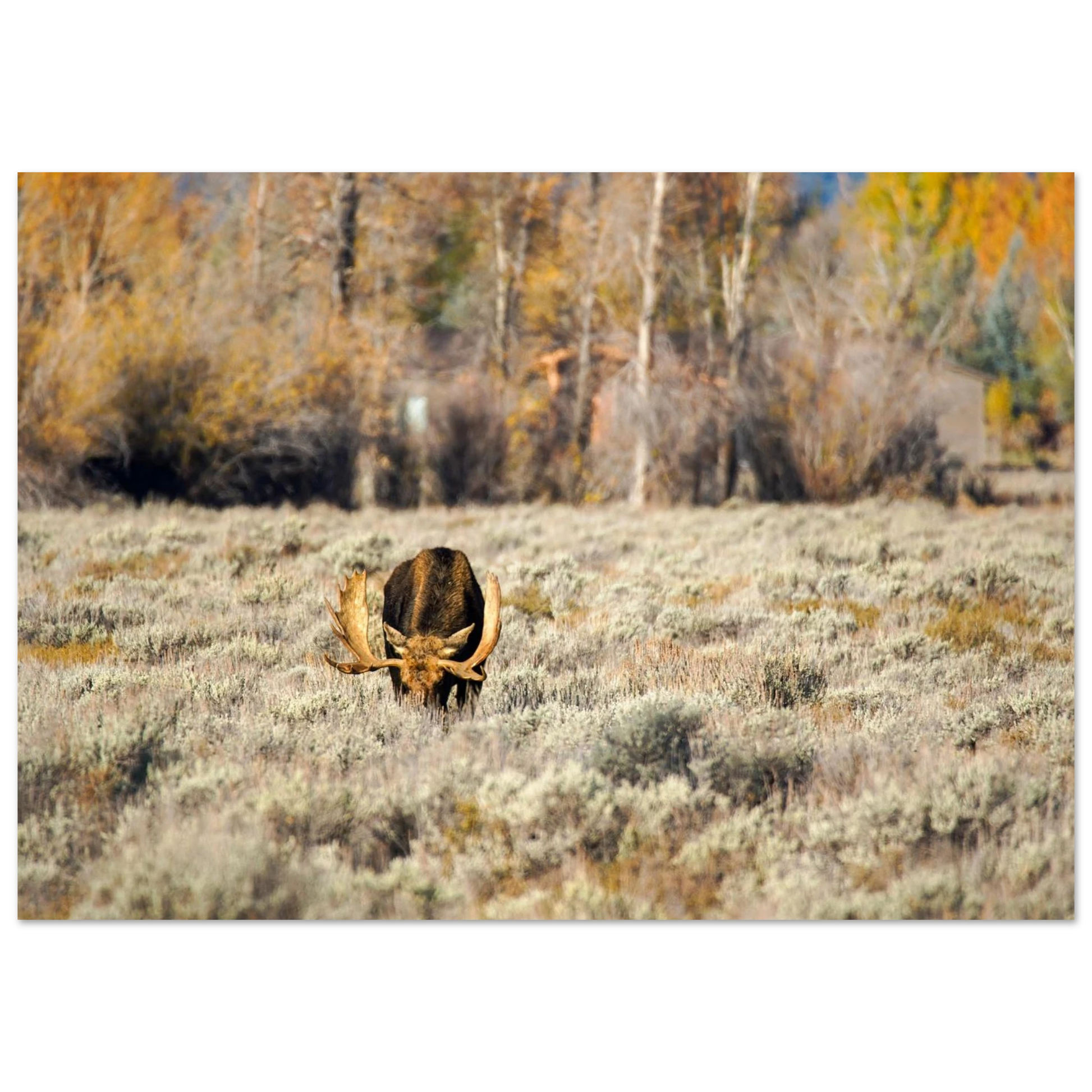 9270faed-ed6e-4181-b9b1-e2afdef420be