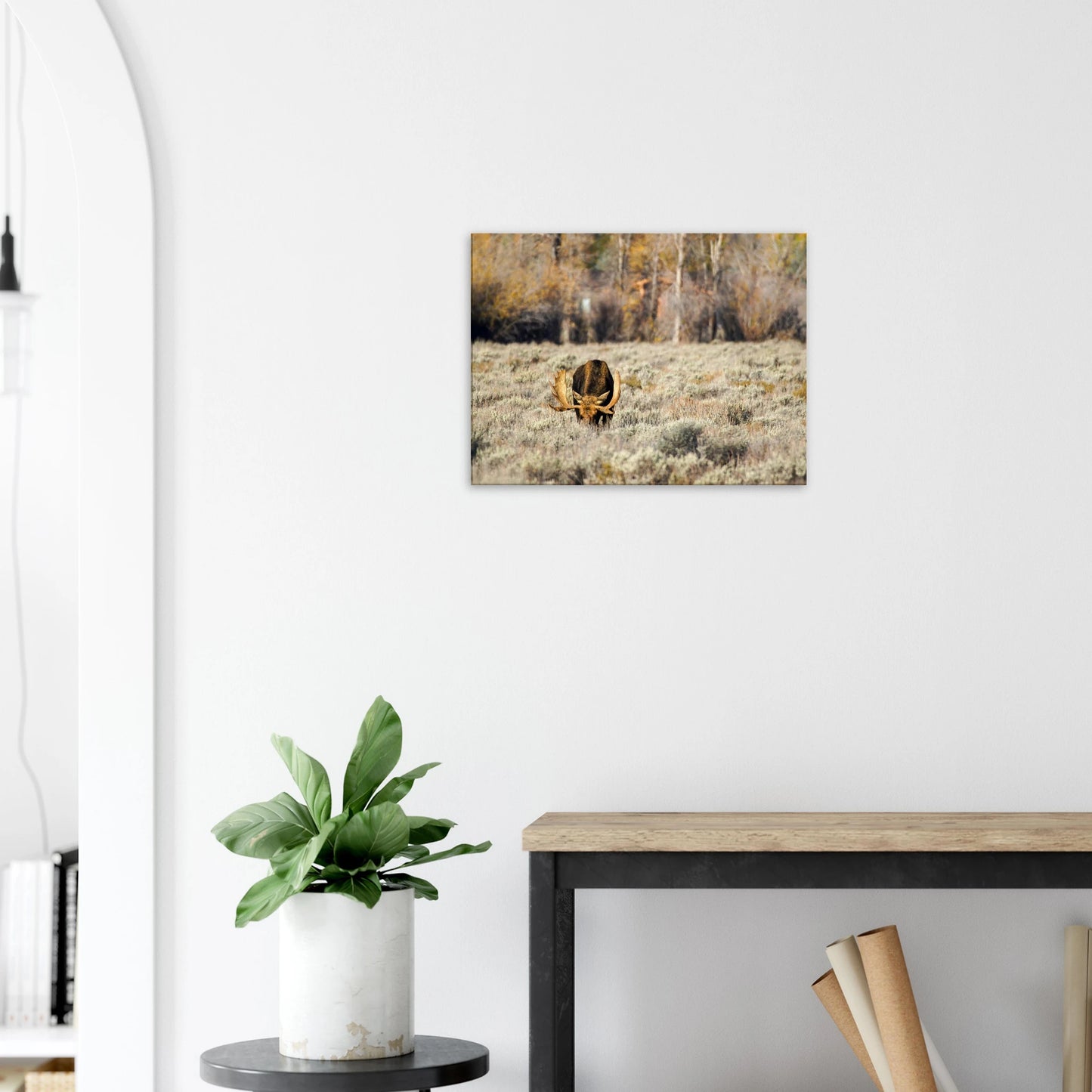 92b4140a-b509-454d-b5ae-d6e4f32282b5