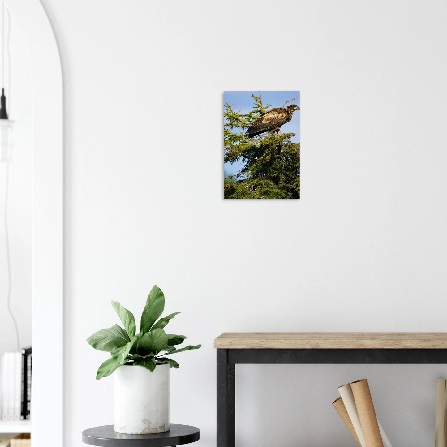 959f0ebb-12f6-4558-a277-c4ef906cd8b9