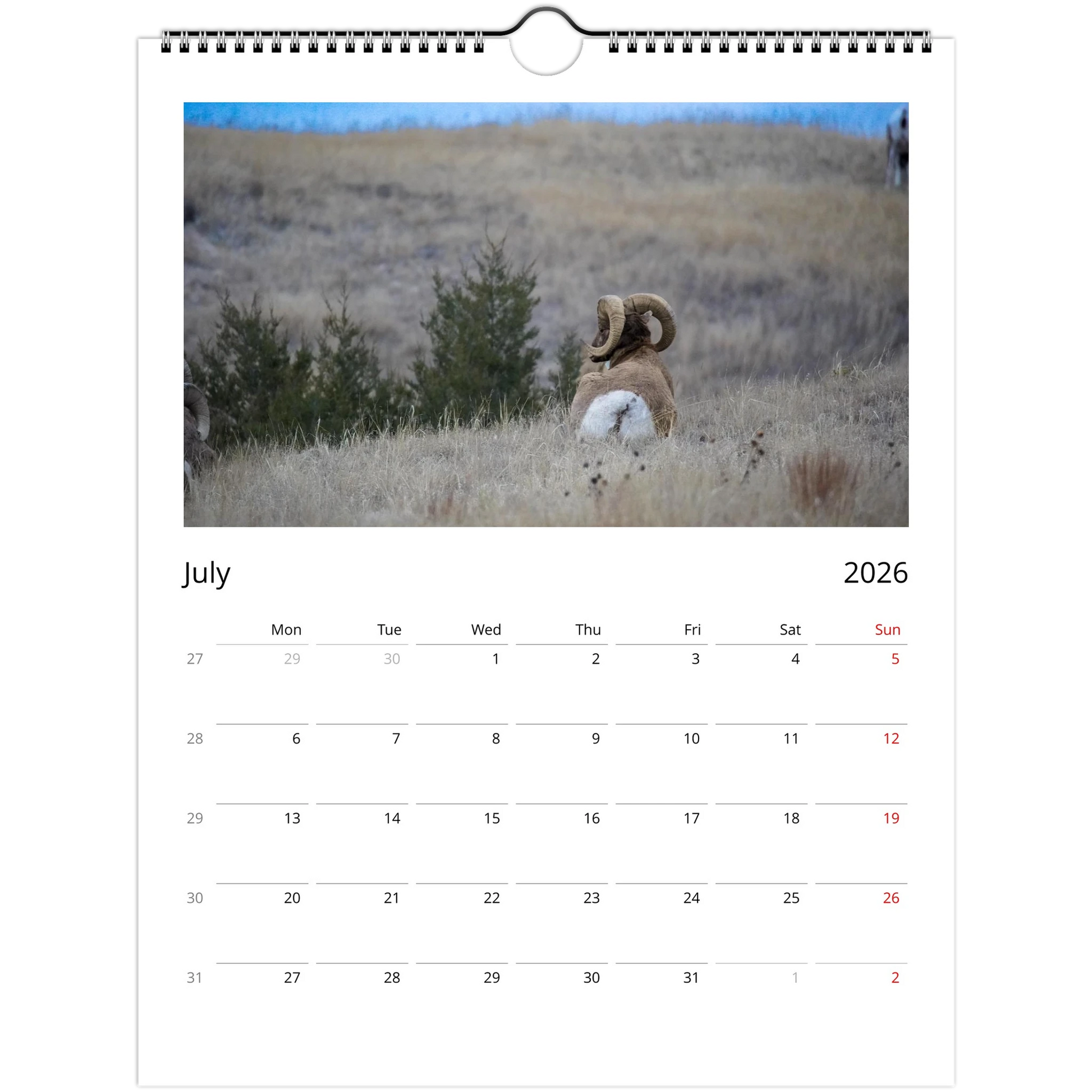 9d8ce422-4ff3-4b21-b8ec-76cf0b51afbb