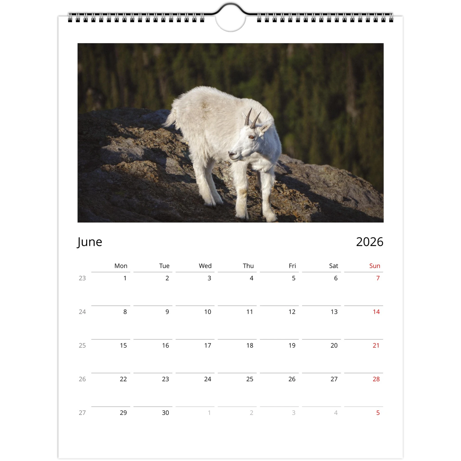 9e43453a-cdad-44ea-a2c5-e3d93bd9efdb