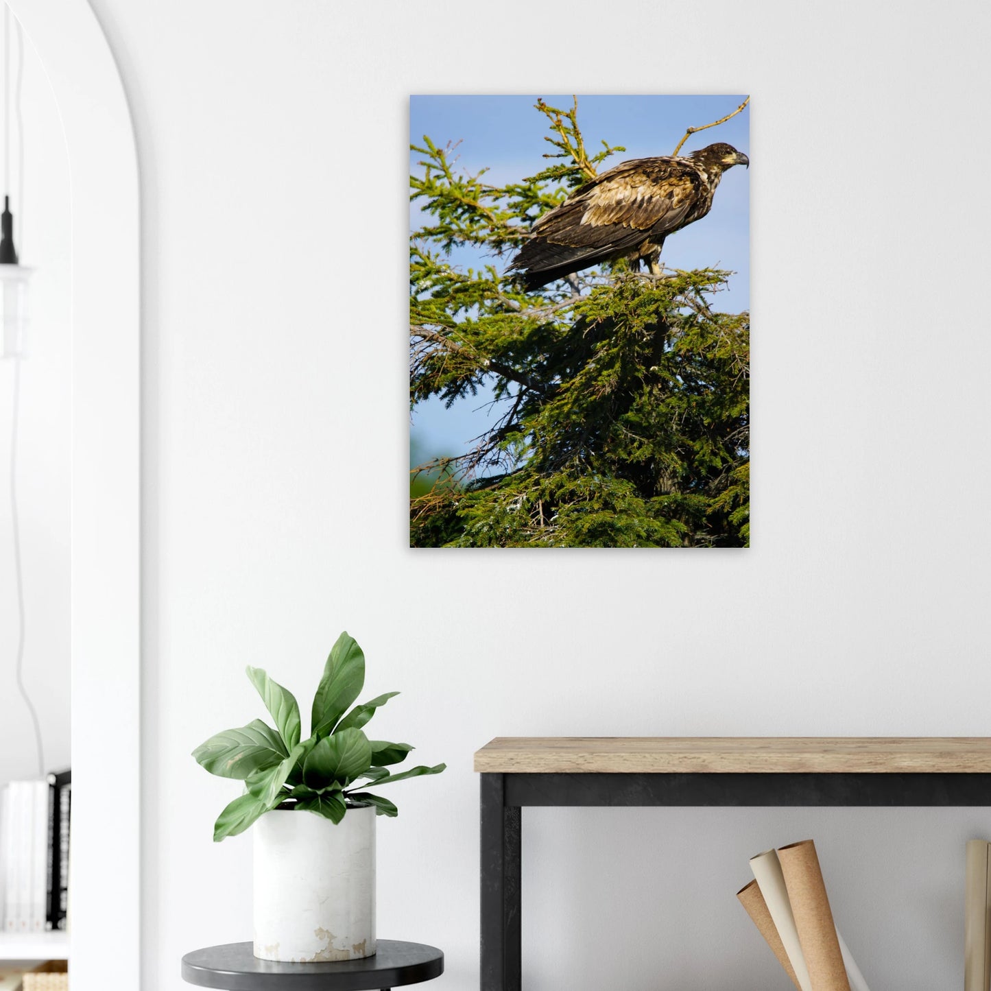 9ff0bfe7-9173-4a2c-bea9-15057bceb7d3