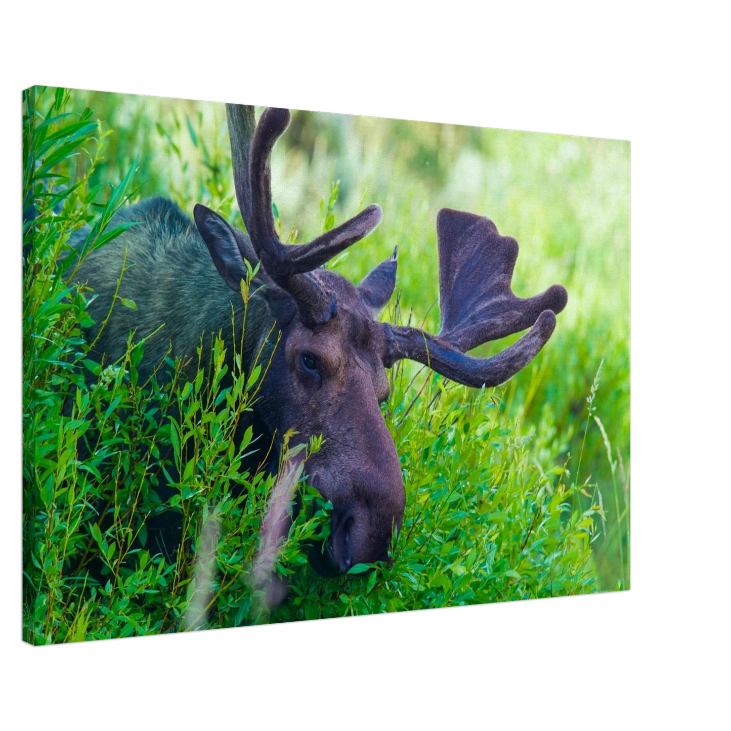 a022d640-d7e8-4b7b-960e-bf2dcec02b31