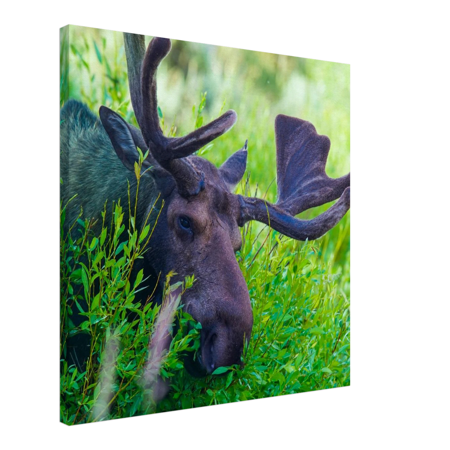 a1054d2f-a65c-4008-b8a8-90eb5c14f3fa