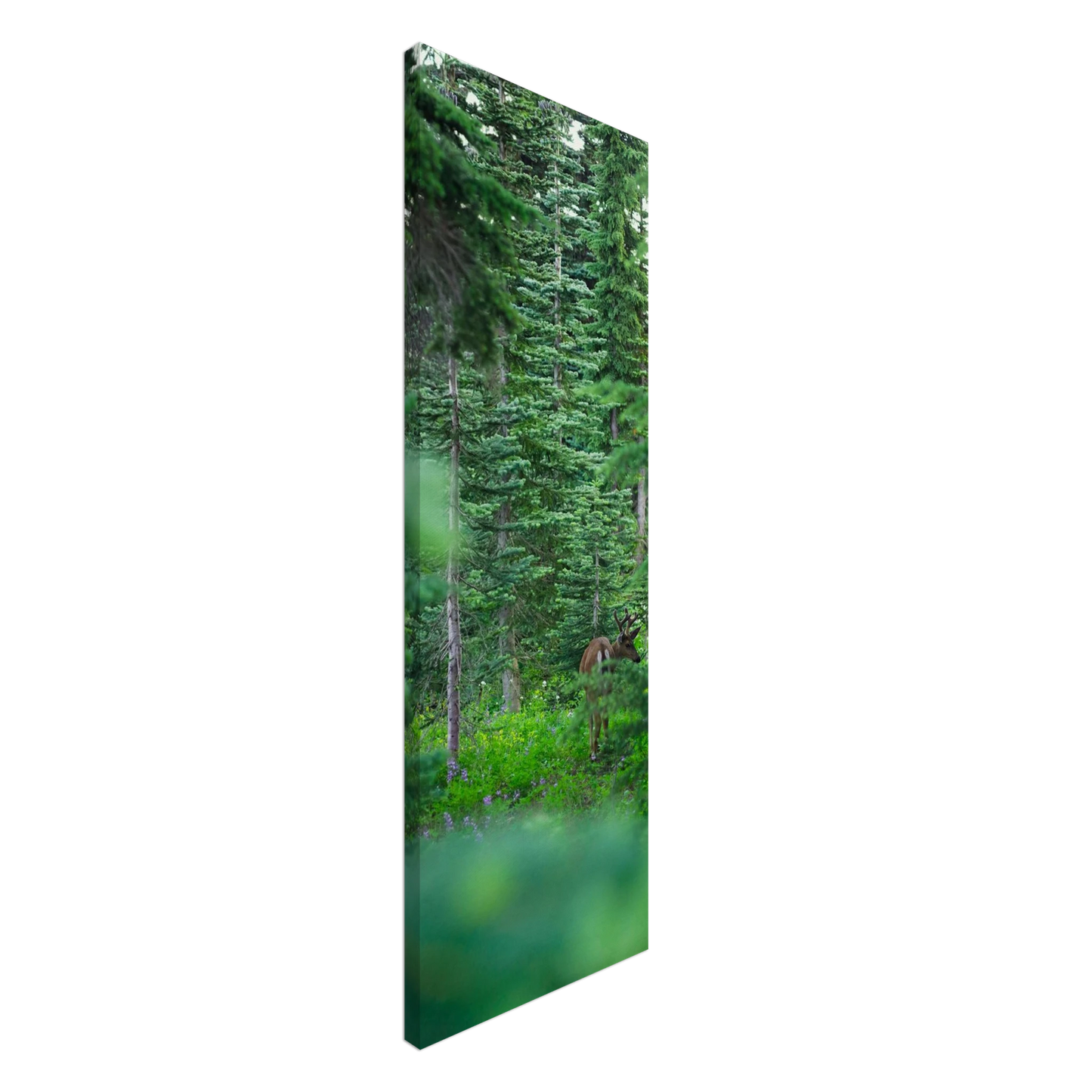 a16e8e25-7154-4e17-bdca-d0c999050460