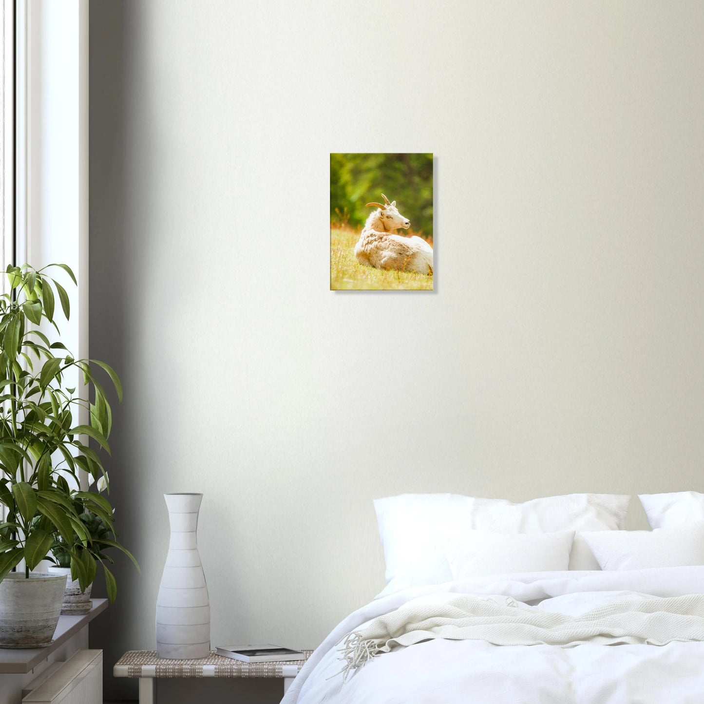 a7284c72-954b-428f-99f4-a1b8568b6c14