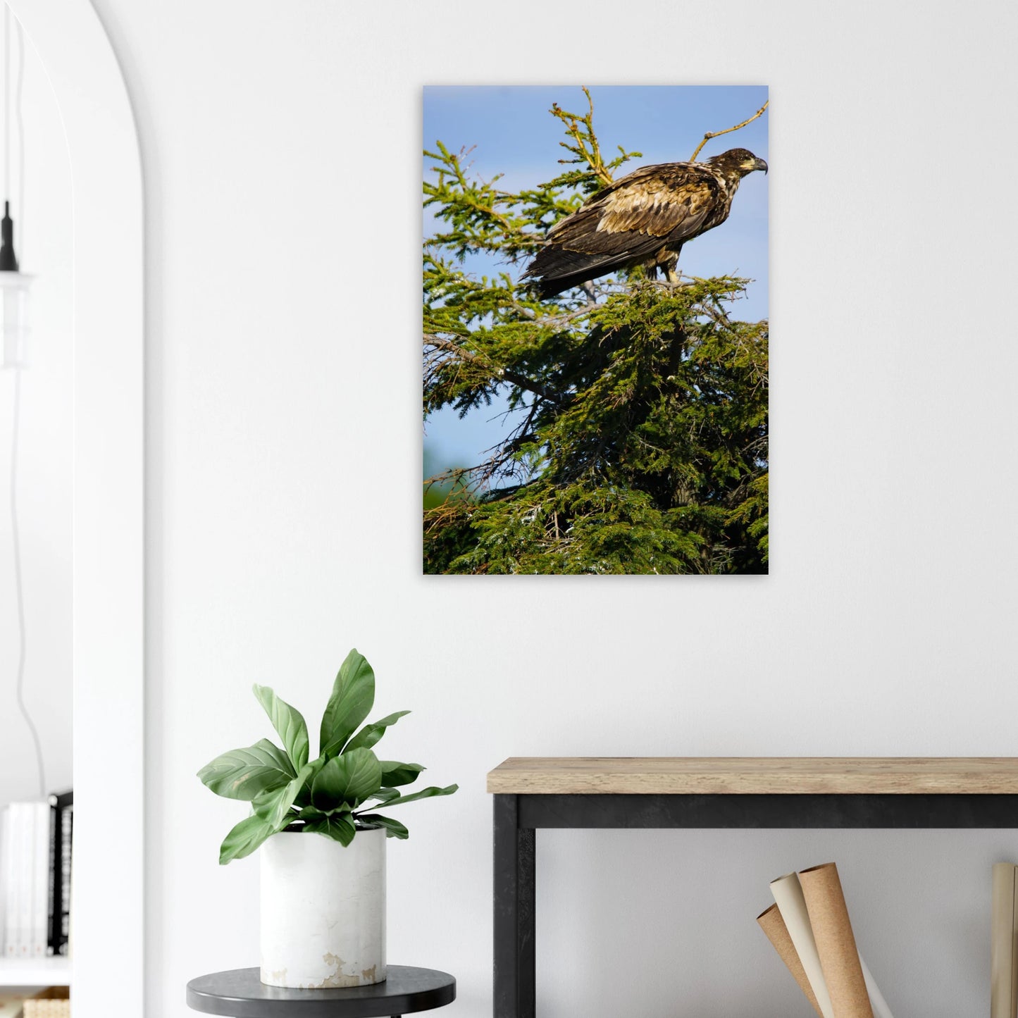 a831e3bc-4966-4c59-848b-8b02eb8daddd