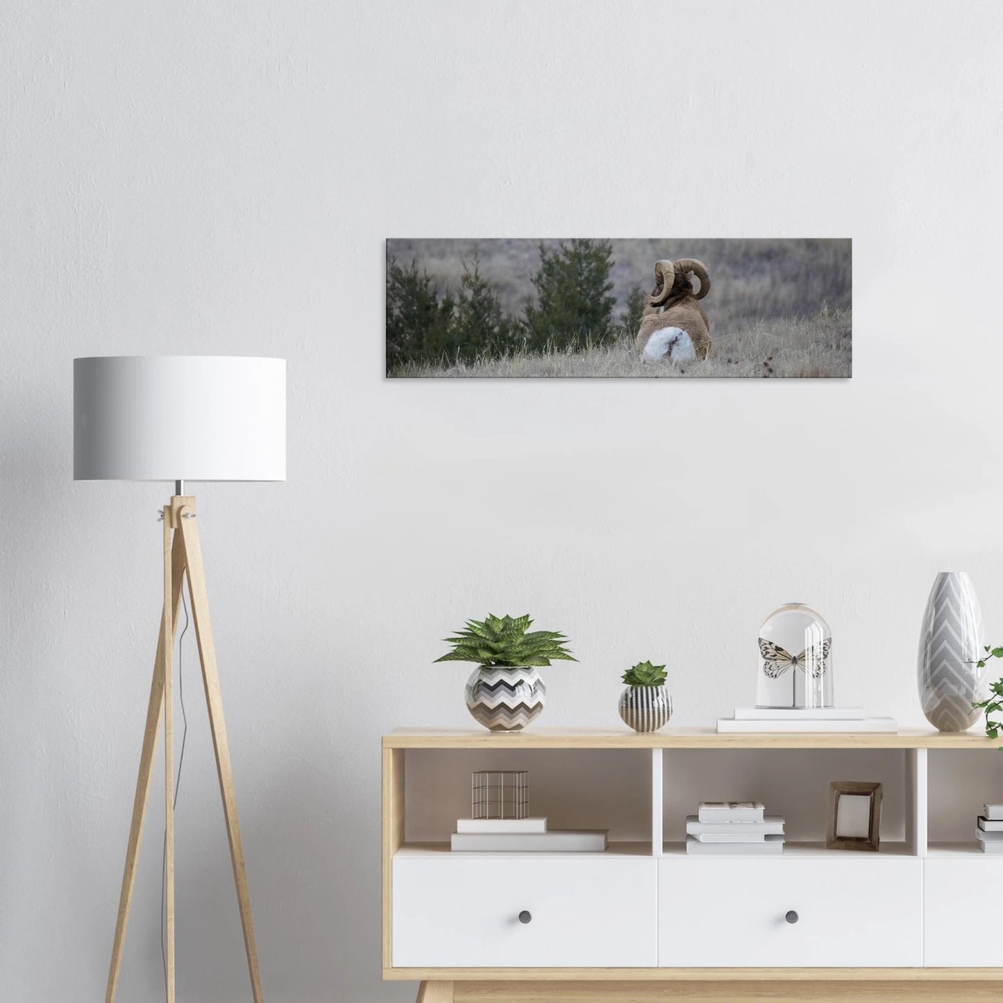 a977faa8-a05d-4326-aaf7-ff3ce00b6c65