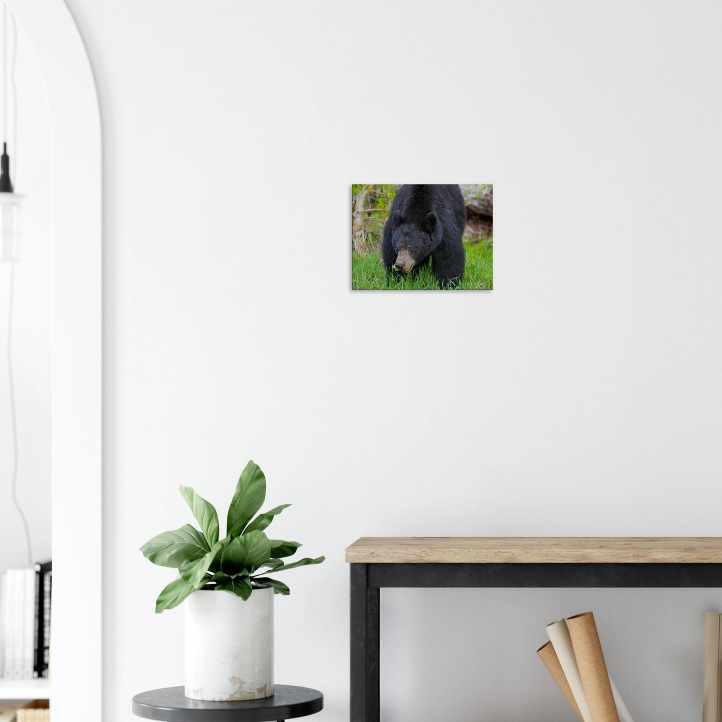 aa13af7f-5890-4b9a-bde3-36234e386957