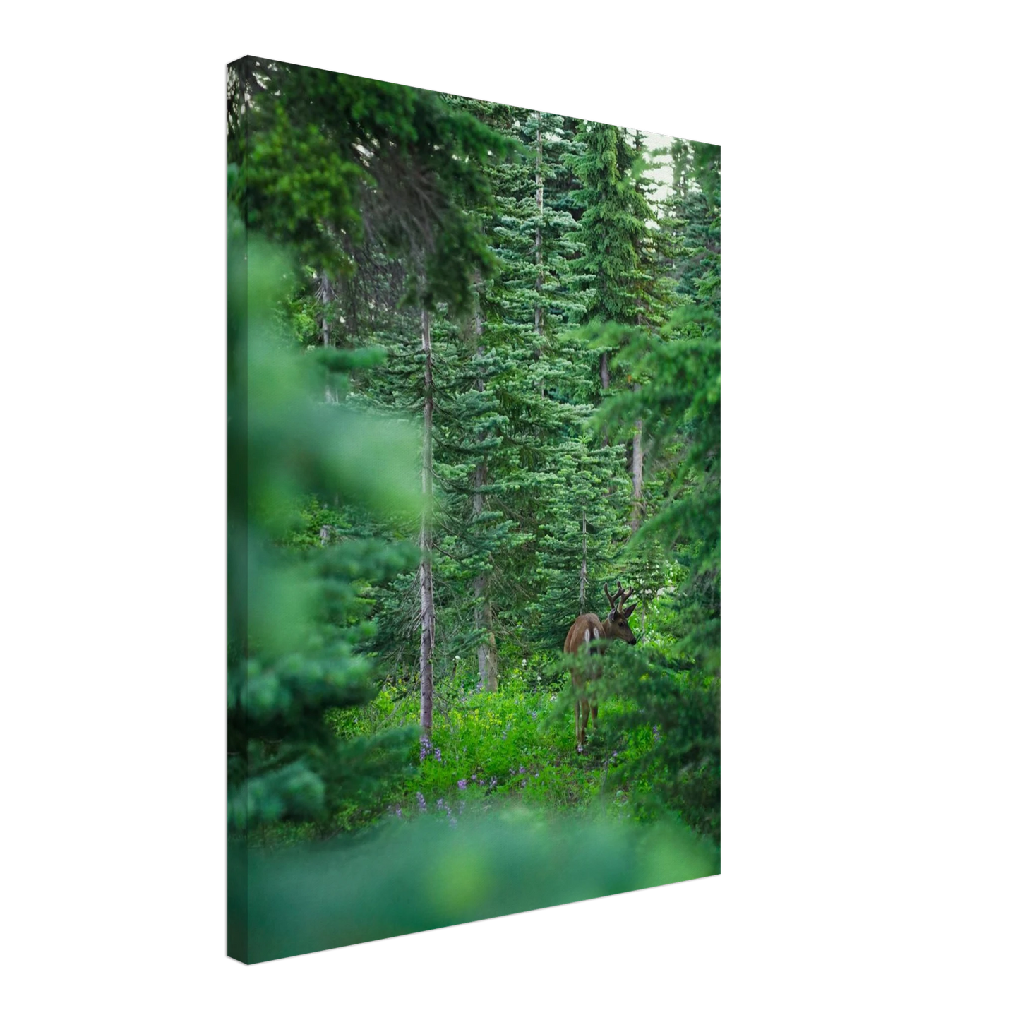 aadddc38-42a0-434d-a72f-56f4dae8e214