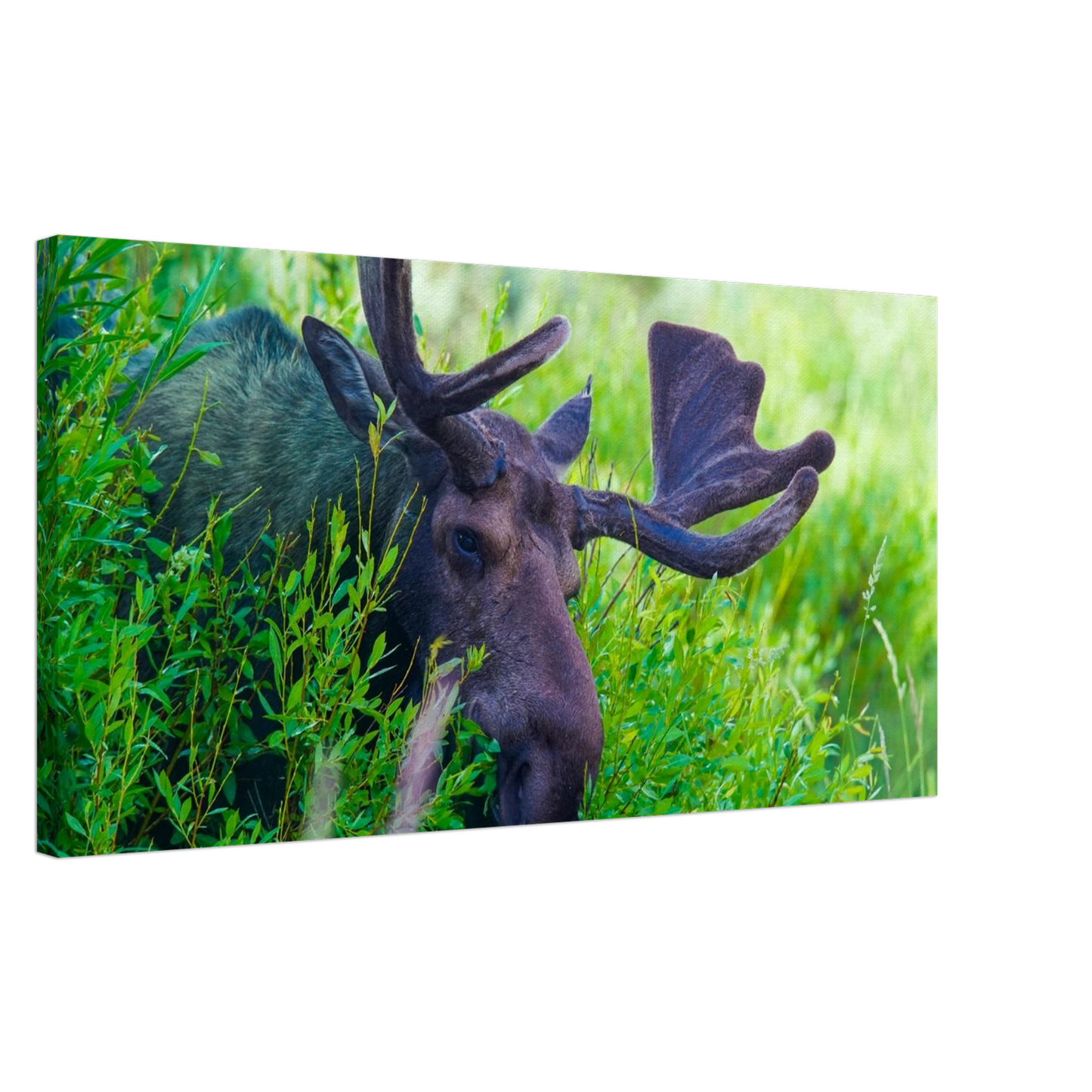 af64da36-7f04-484c-965f-f467b59b0b8c