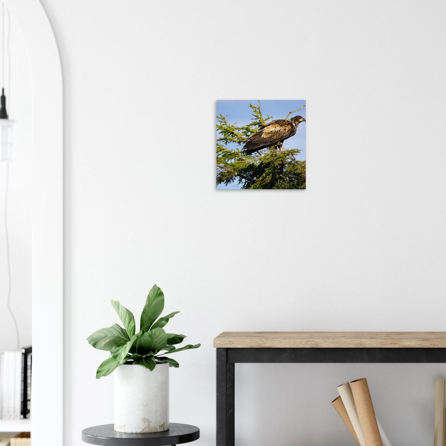 b0678254-a1cb-467a-ab3f-10c4a1468bb2