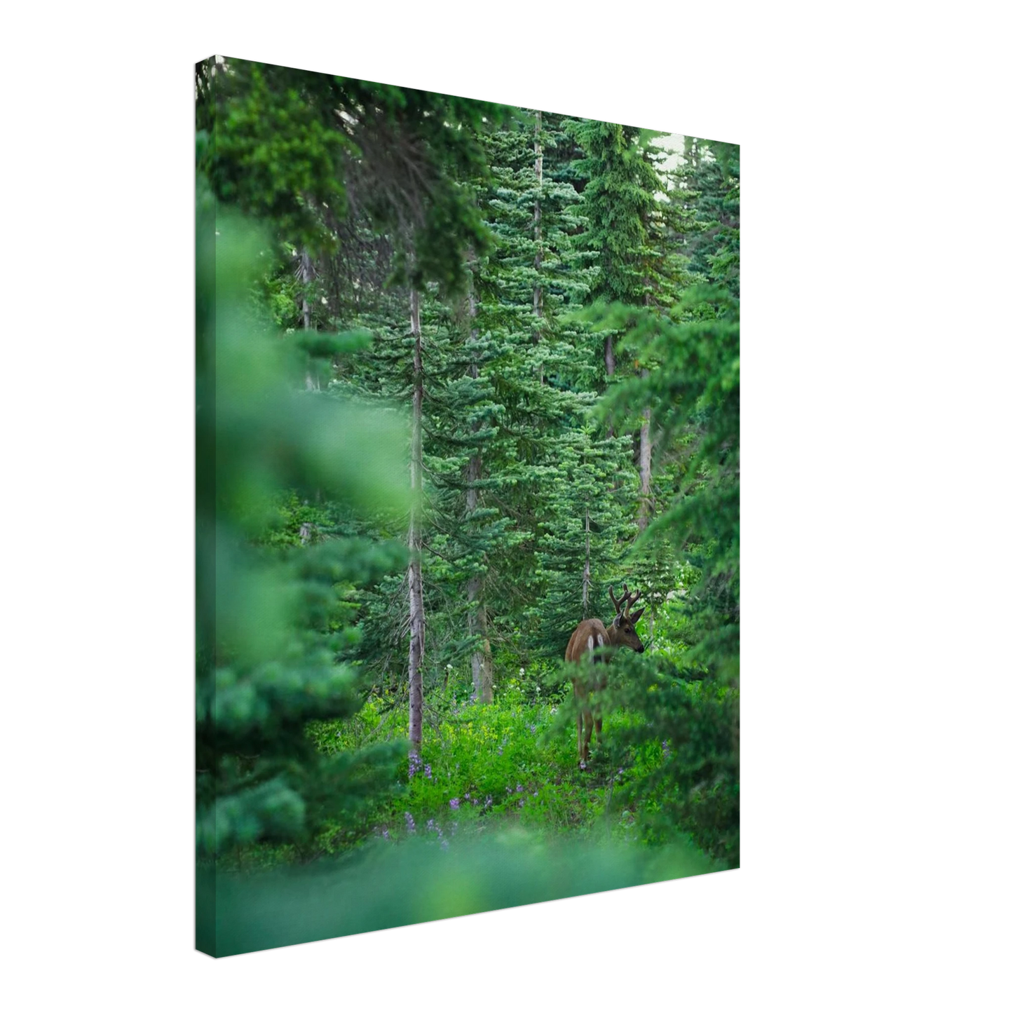 b1de12d6-1656-4c3d-a676-655b5009dc9e