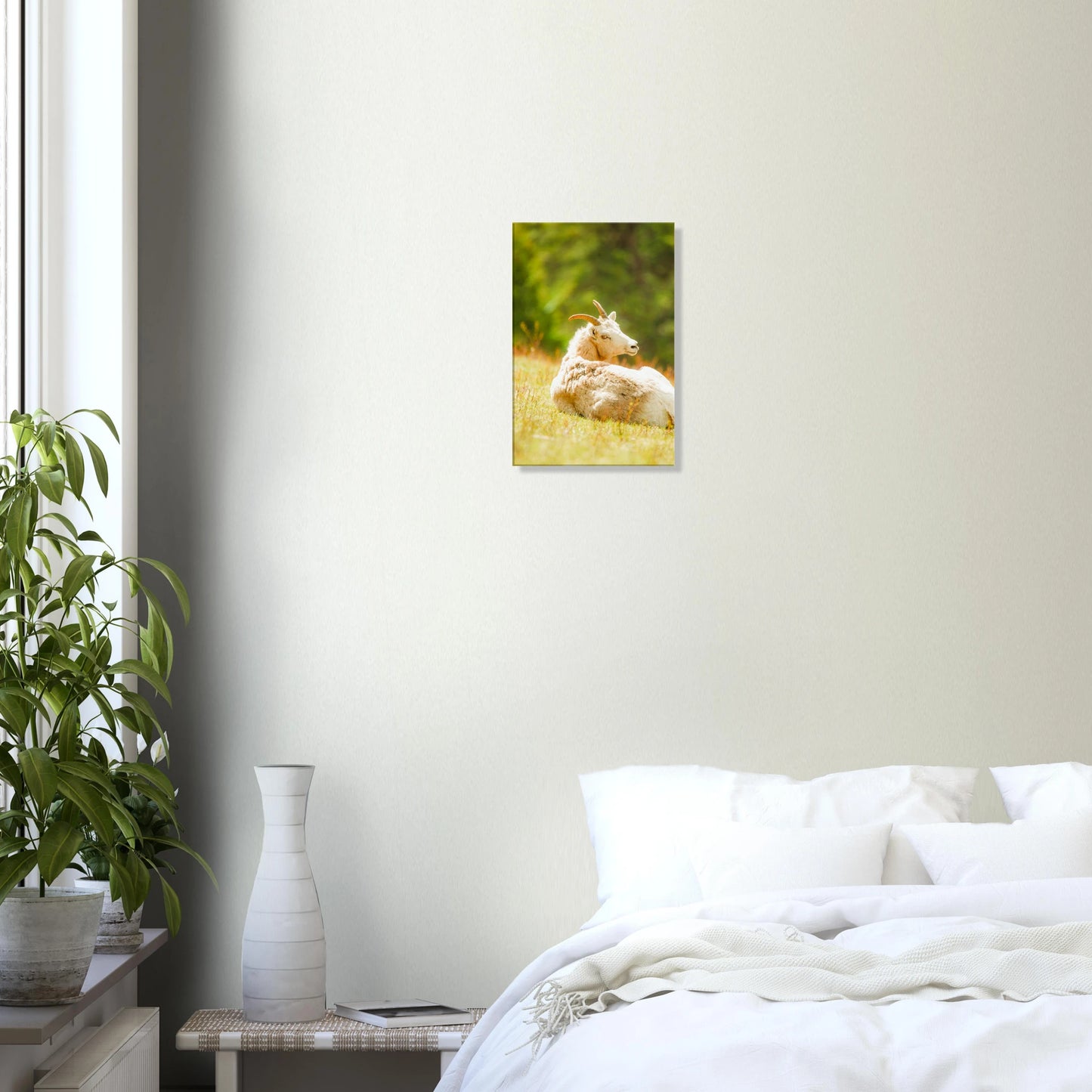 b8b4d241-f62c-4f6b-a46a-862c0fb6d25d