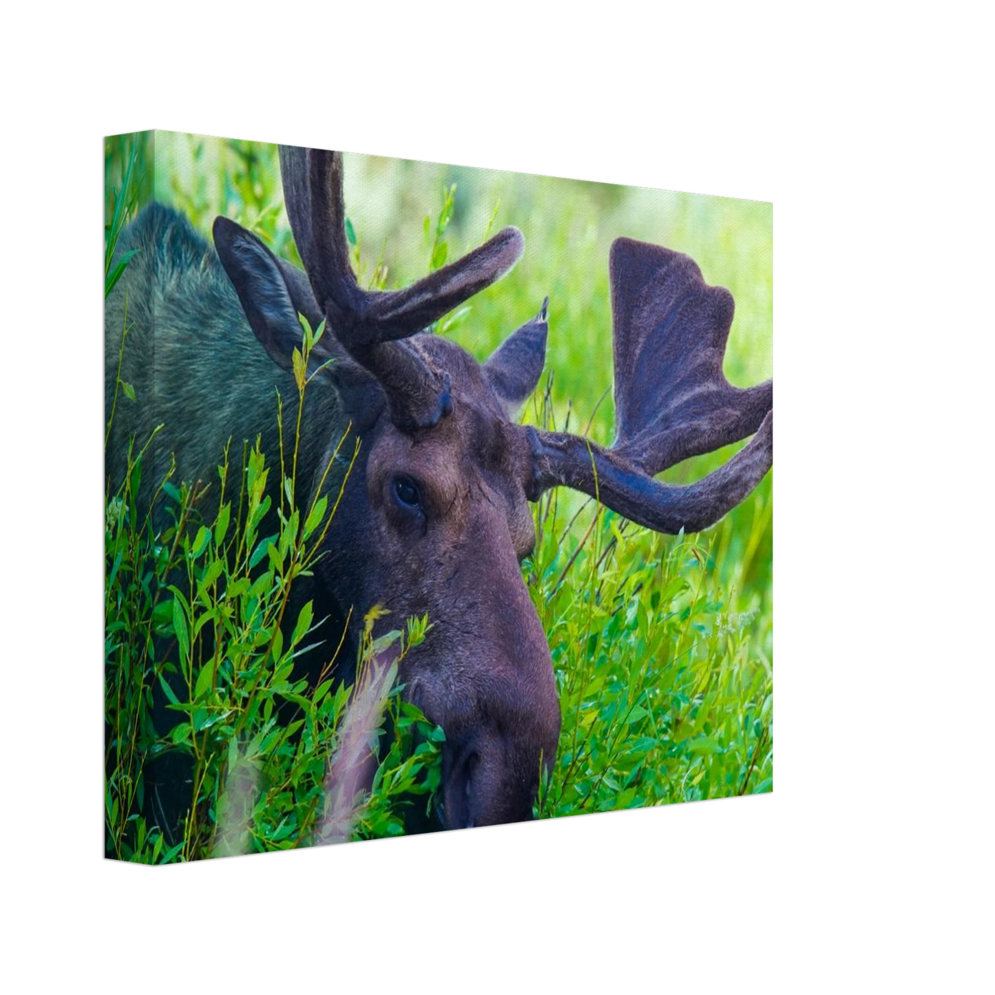 b9a1b050-b433-4cca-bd86-f172486083f0