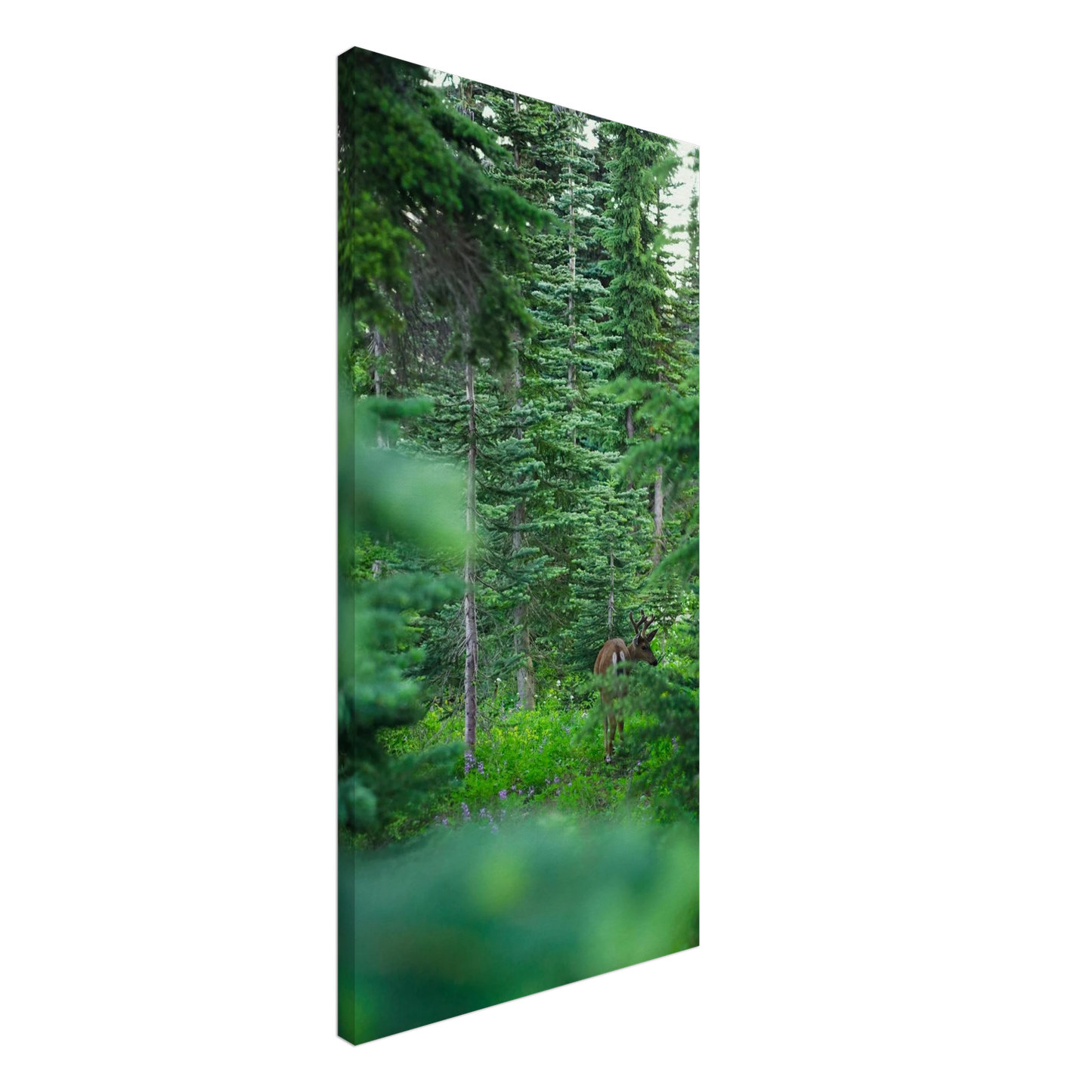 b9f753ed-21c1-4c58-8598-89ab23960ae2