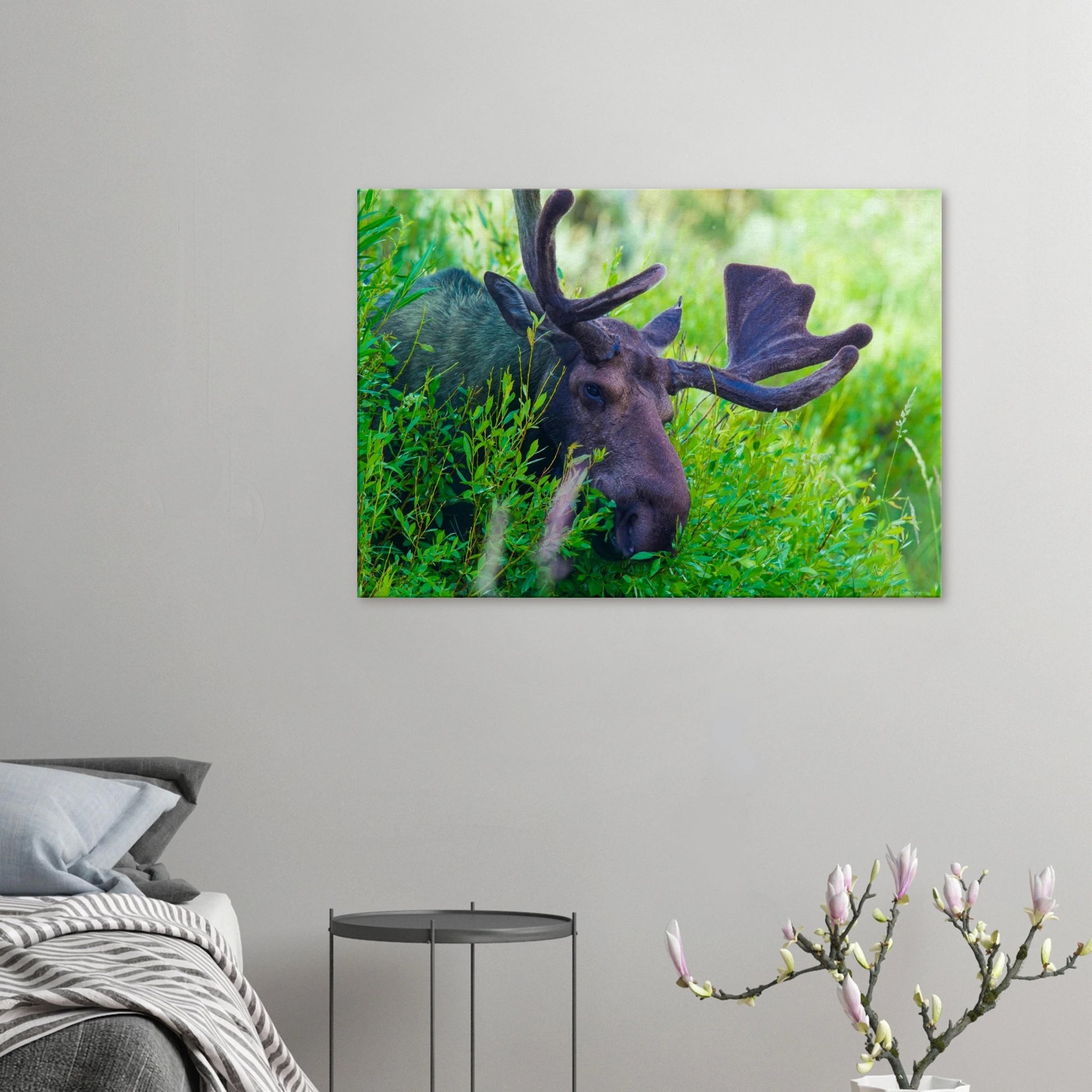 ba65e208-d5f6-4992-8fe0-5adc486dfd73