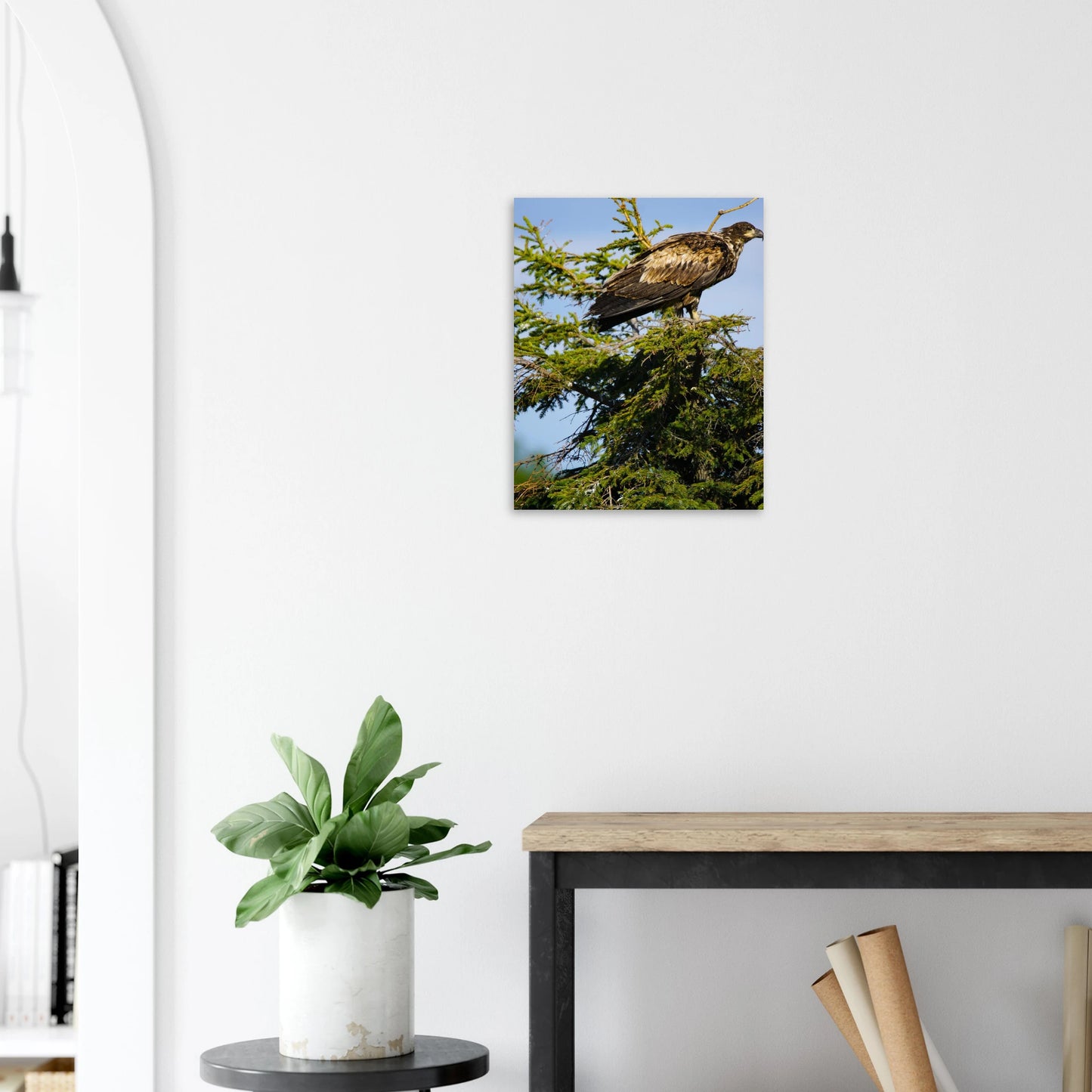 be141783-962a-43c8-8c75-d10857e485be