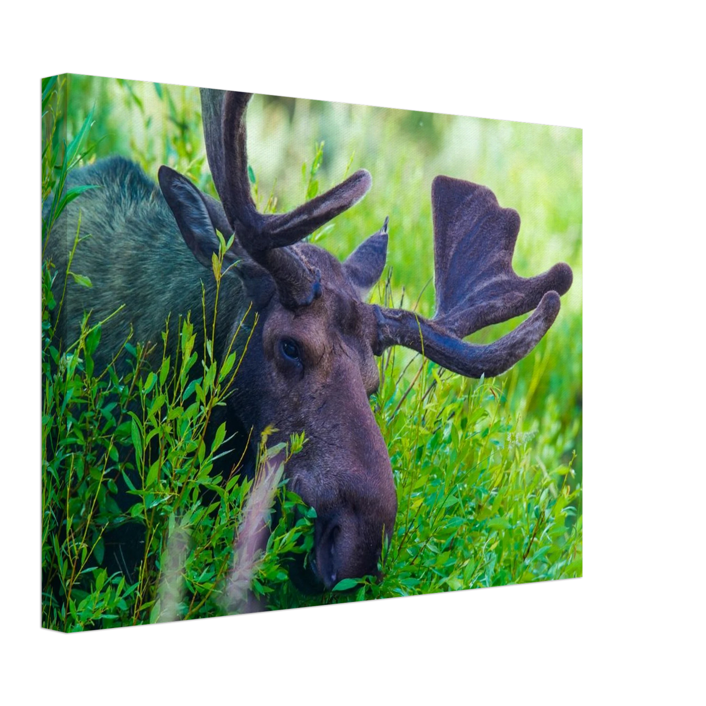 c1120e5d-ea39-4aa4-bc73-551ad7129f69