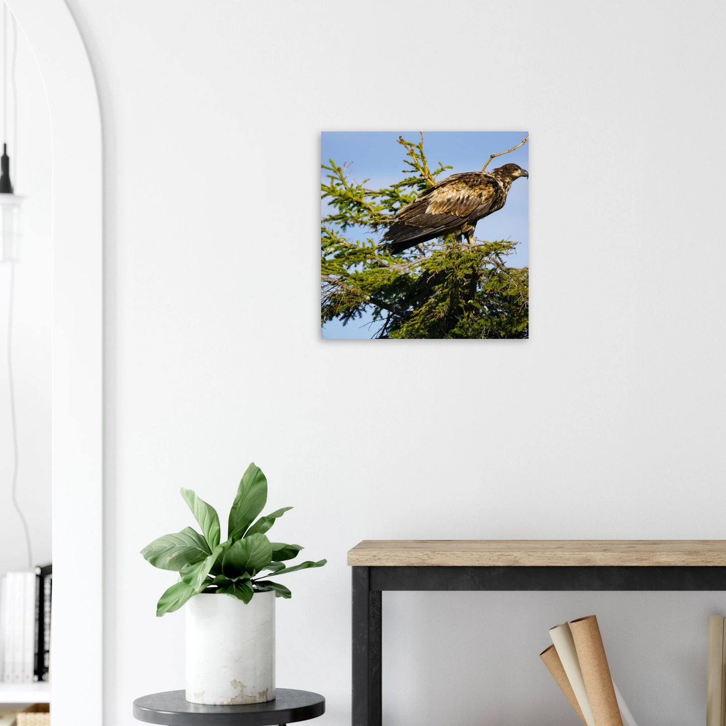 c1e162d1-0b7a-4768-a2d8-c59337ea70cd