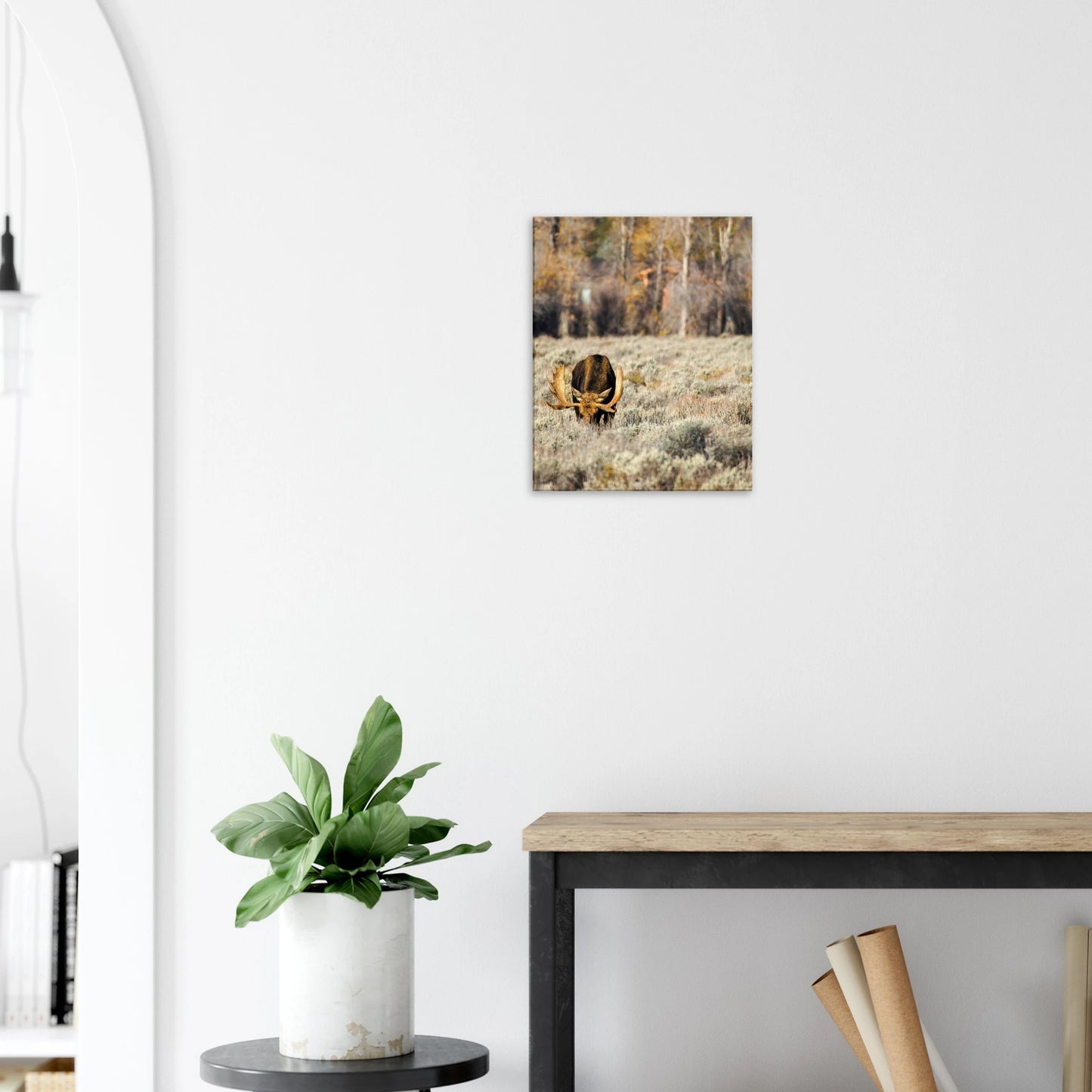 c1f9f77a-1da7-4edc-af50-57abcd77fba3