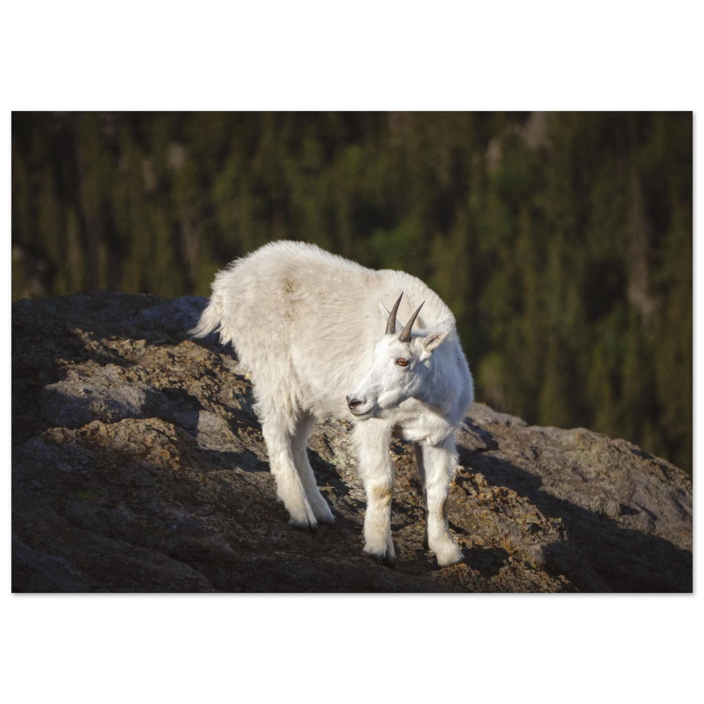 c1fa8391-4437-4726-9e26-437c6d4a7939