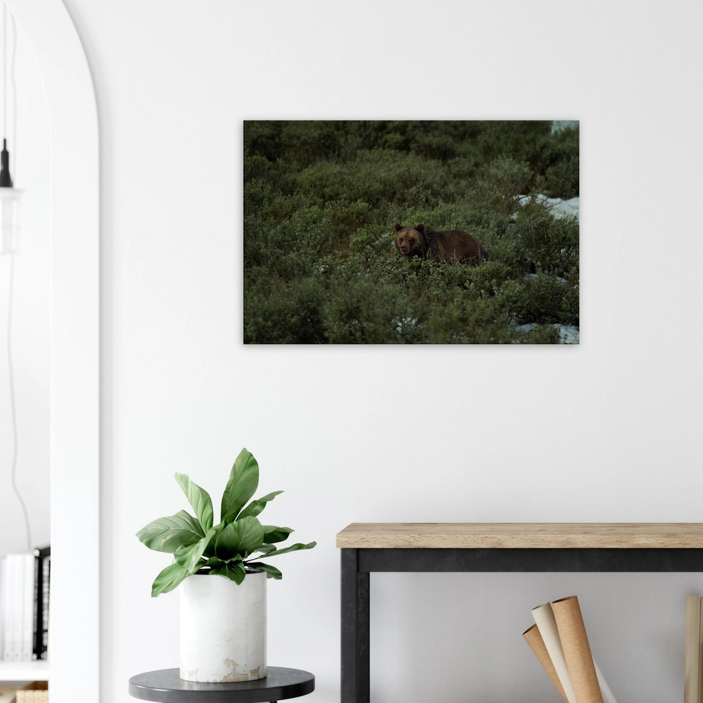 c702ac55-c1bb-4257-a186-05ef00f37bdb