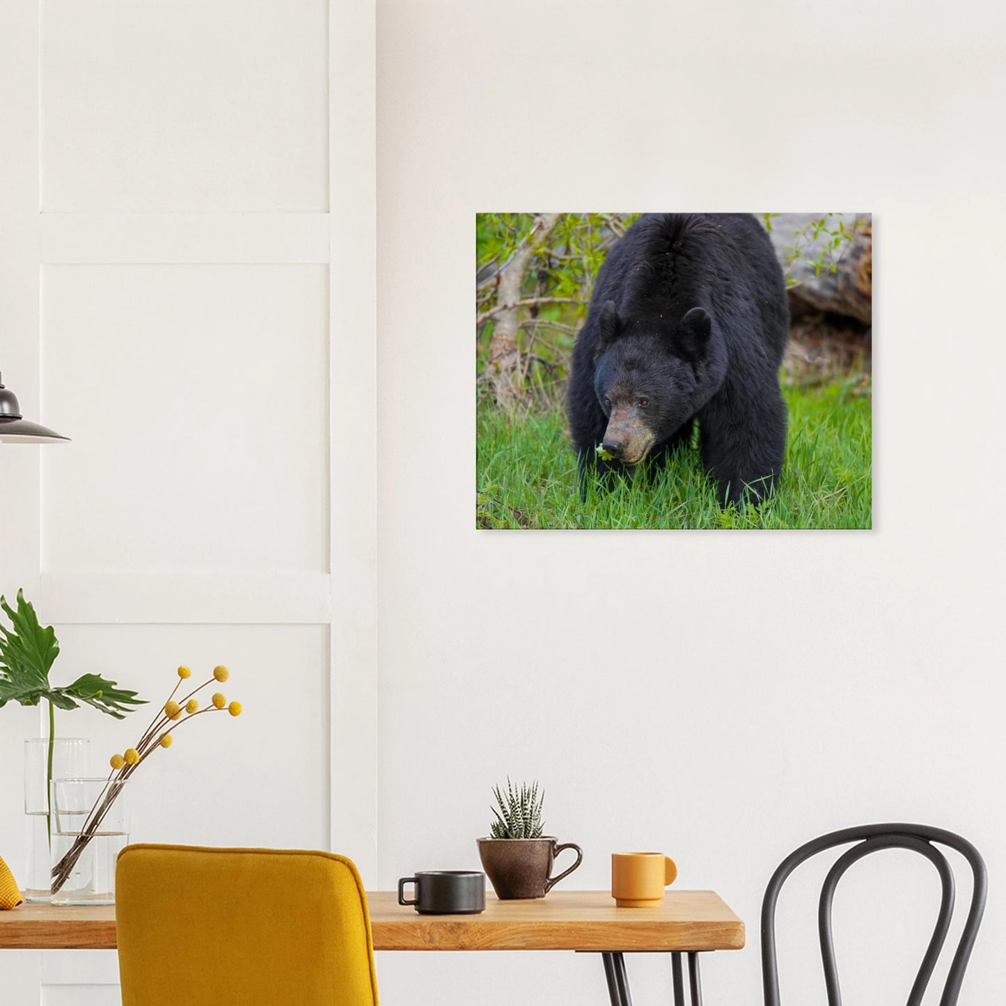 c7d511e1-f37e-4069-a4a2-a5a7b7b6a3a6