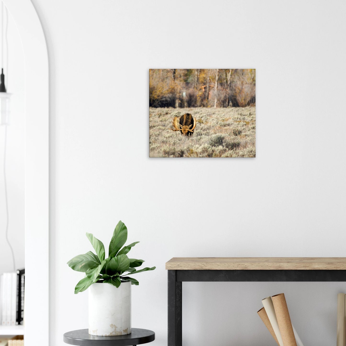 c7de5e4e-ebfa-4a43-9fbb-1740b246f349