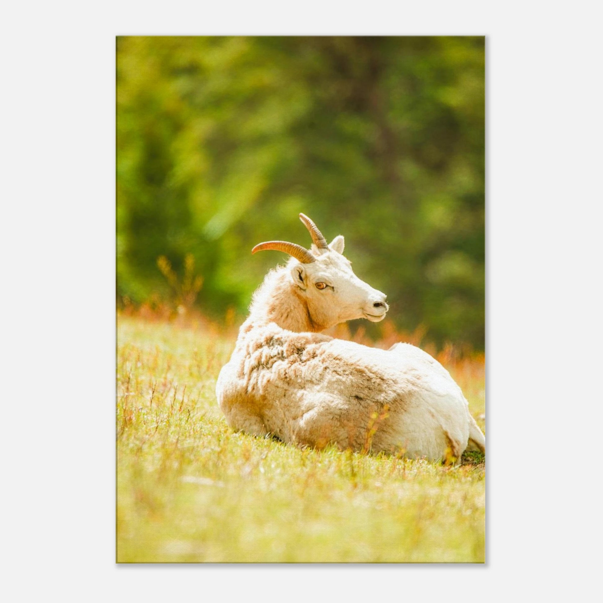 cc91ef29-9ea7-4d06-ac77-e6d4ba41f48d