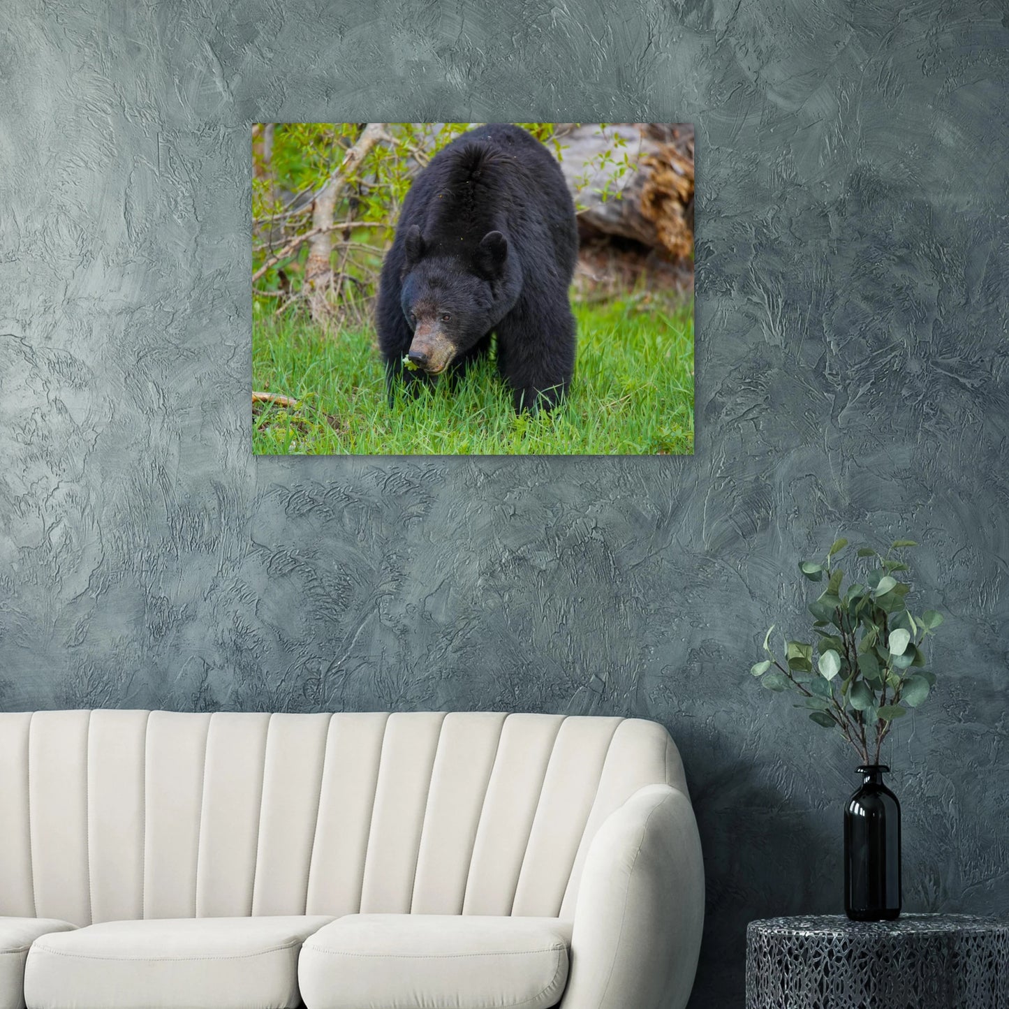 cd62113e-c3aa-4825-947c-0dc8e3c81d7b