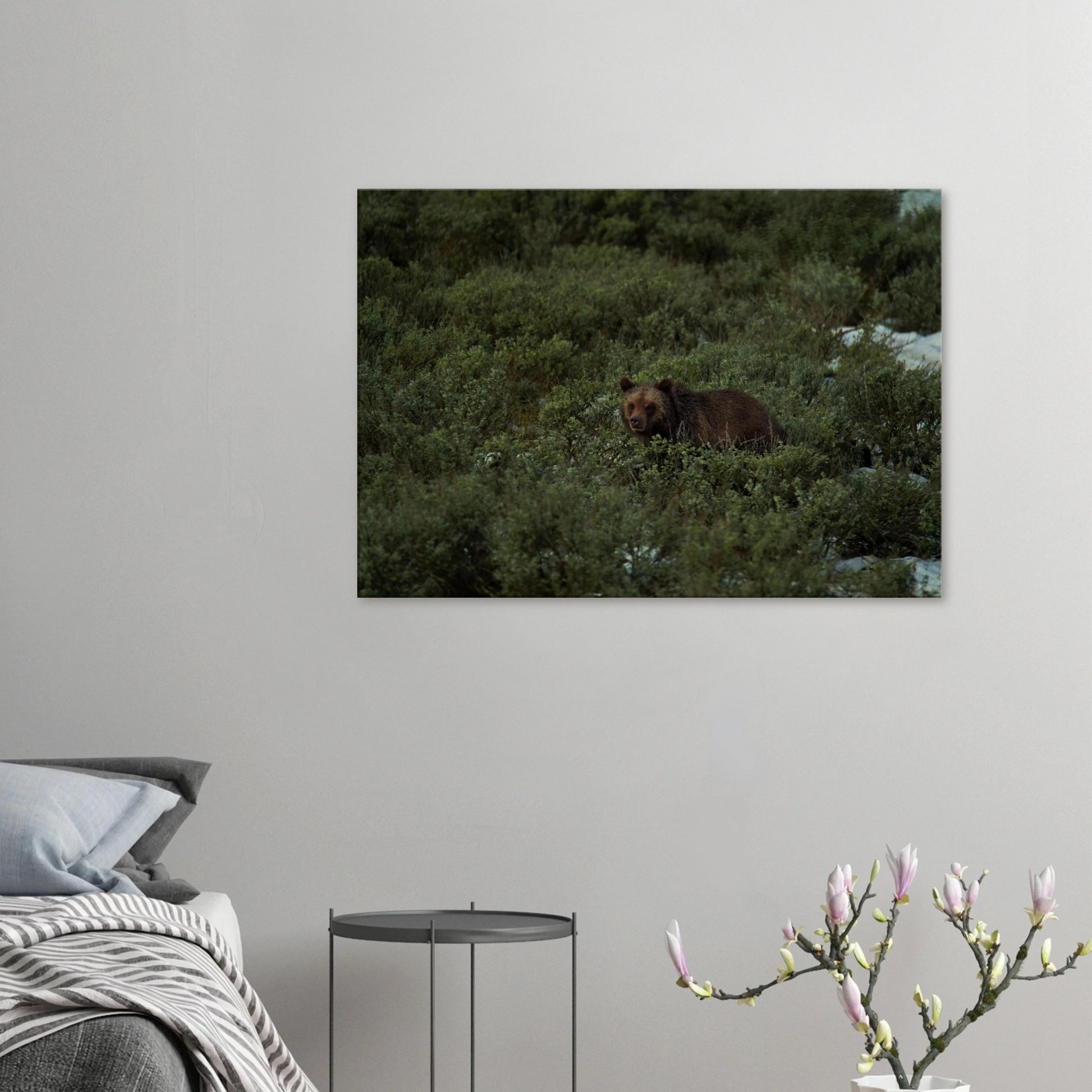 d16d6526-67f0-45e6-9a17-655f2f583ff3