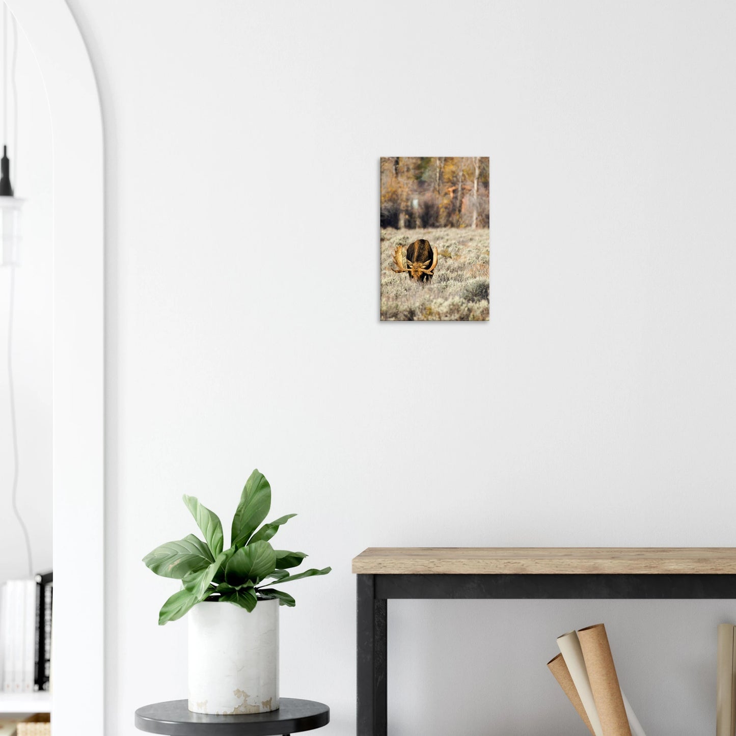 d1bc19e1-1c85-4cd2-aec5-f02897668be3