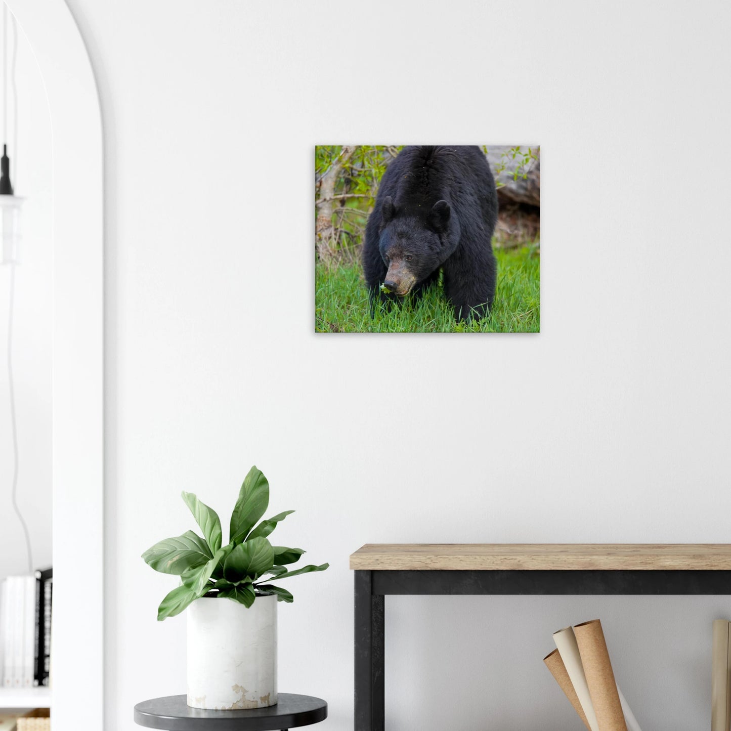 d3dcc6bc-207c-41e1-a950-8a5fdd4c05e1