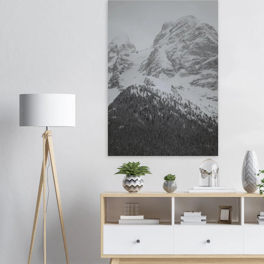 d6219700-0b07-43a1-a45d-379bc7e8ea57