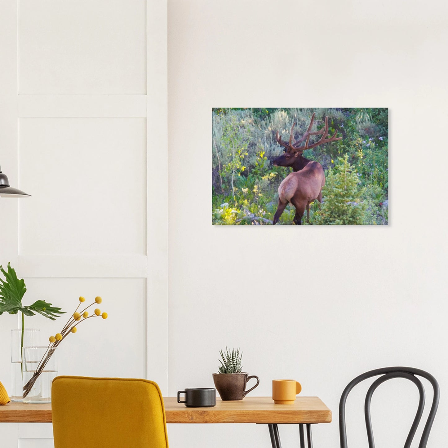 d66dac37-39da-449b-9b25-5b28bdff15e8