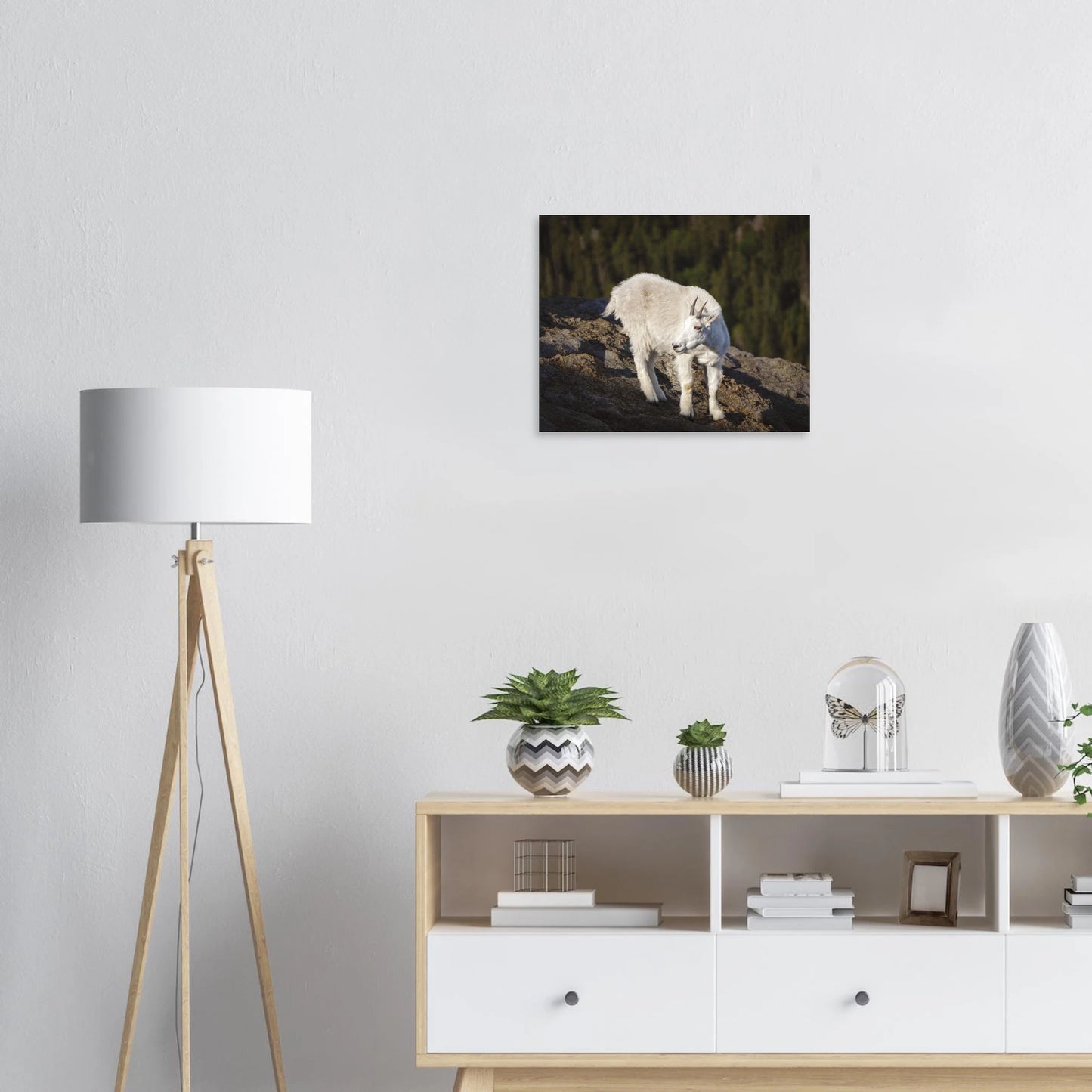 d7d0b72a-76fd-42b2-8c16-c52a4f4f8588